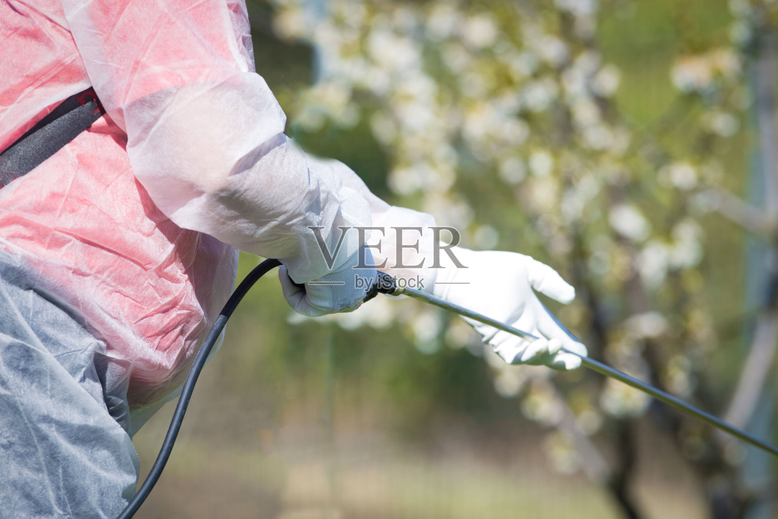 冠状病毒消毒。在公园进行危险品消毒的工人照片摄影图片