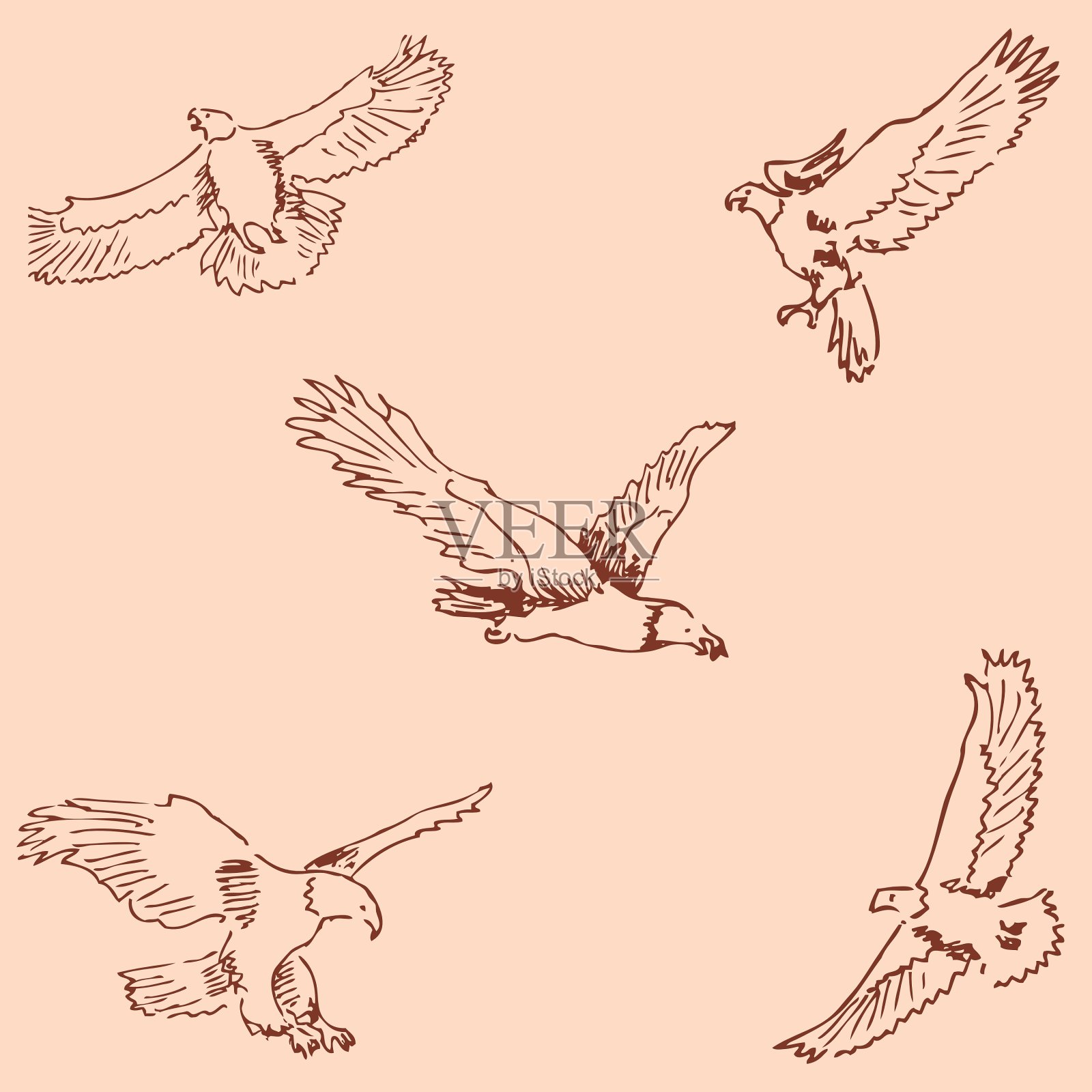 老鹰素描铅笔手绘古董插画图片素材