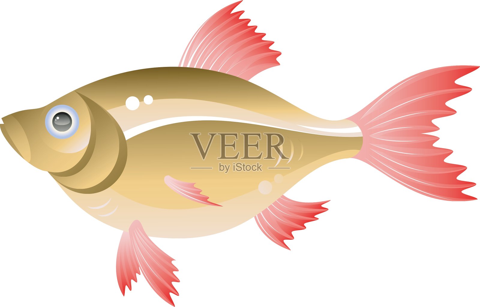 鱼设计元素图片