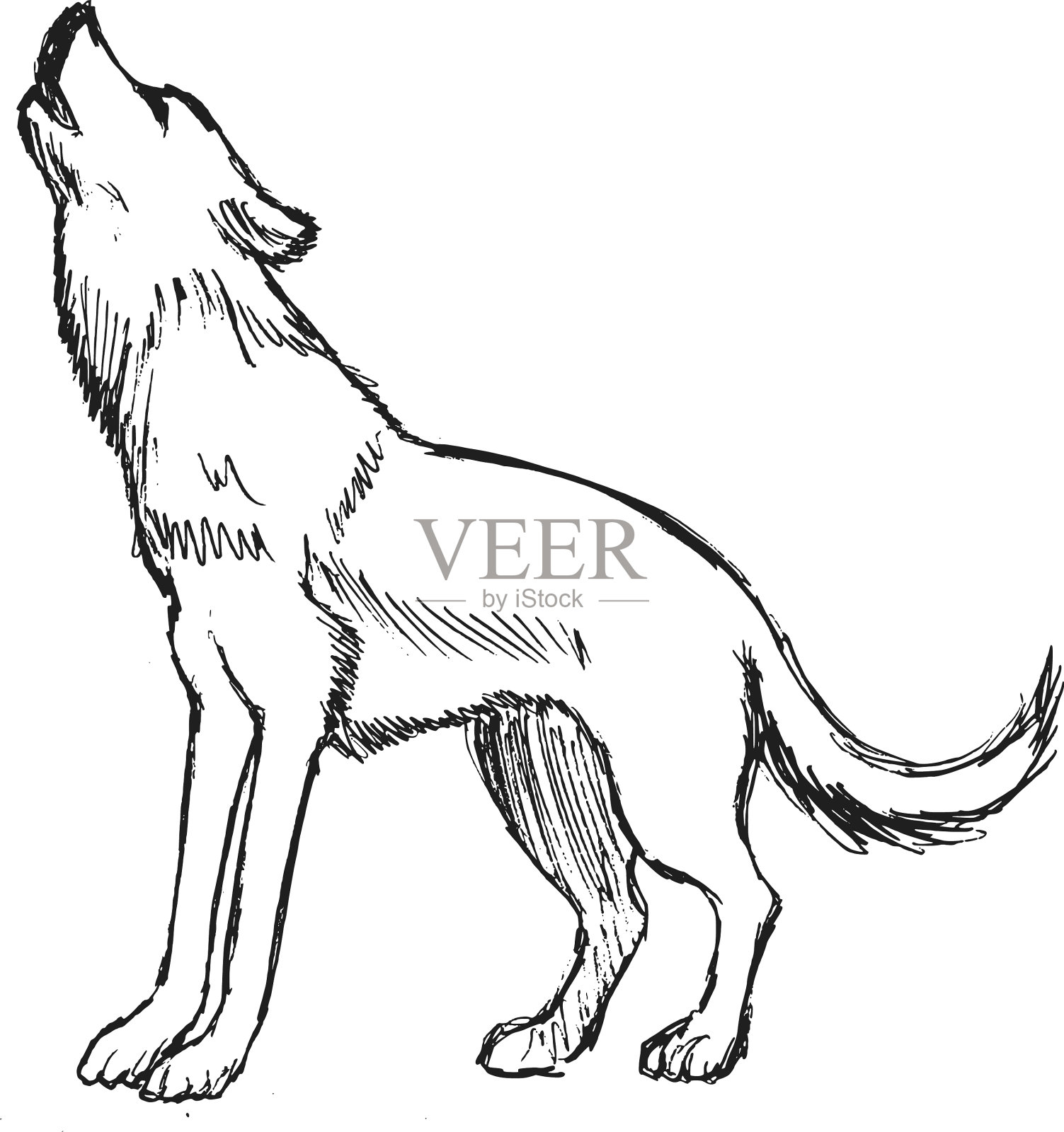 从森林狼设计元素图片