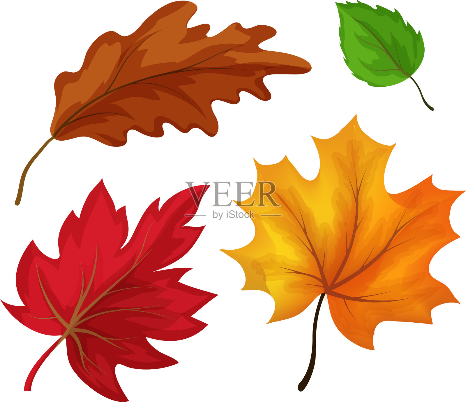 素描秋叶集设计元素图片