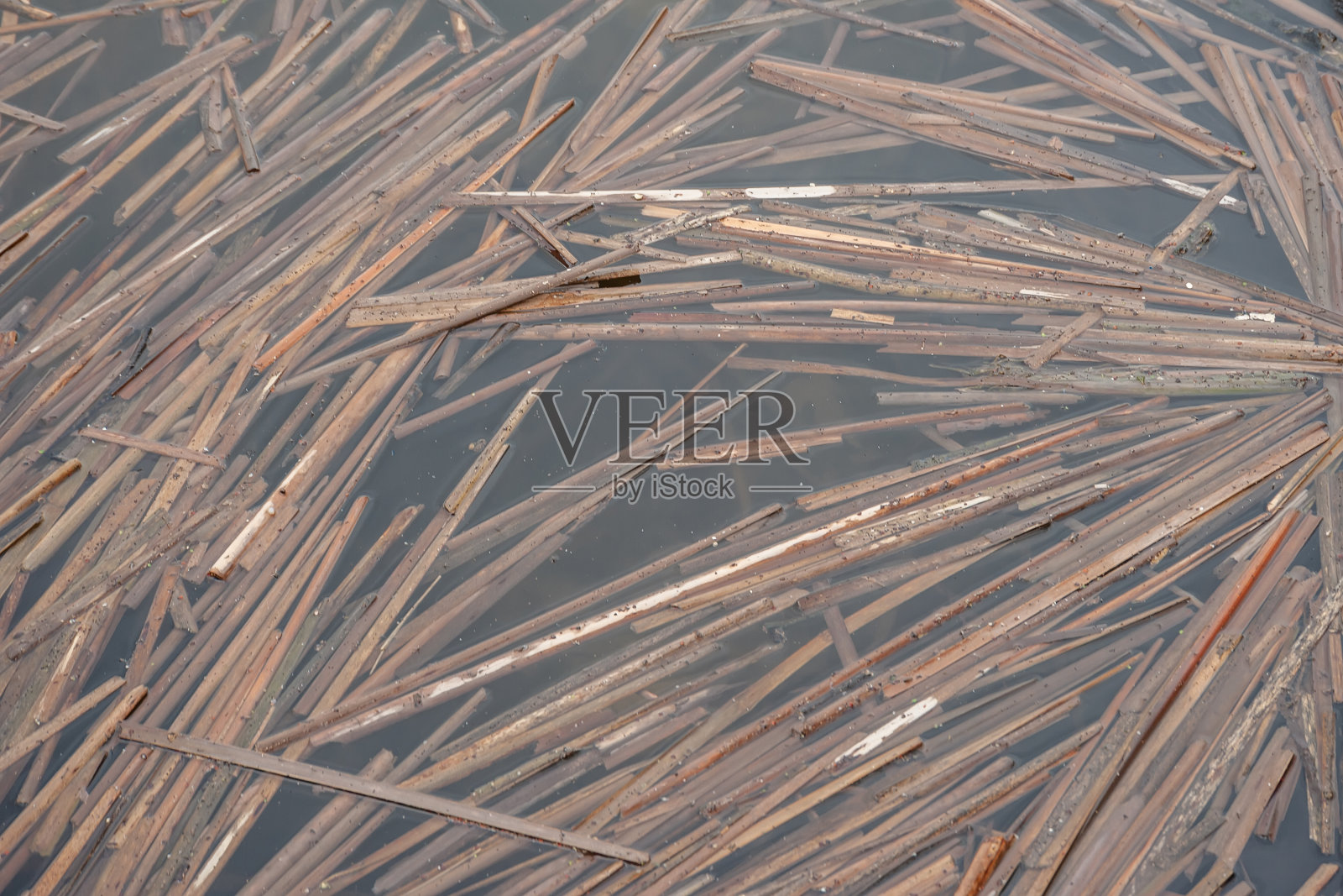 水中芦苇茎的质地照片摄影图片