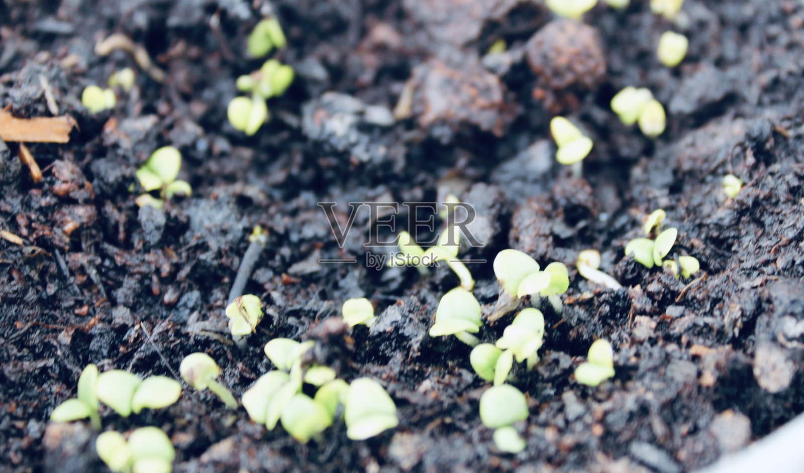 新生活照片摄影图片