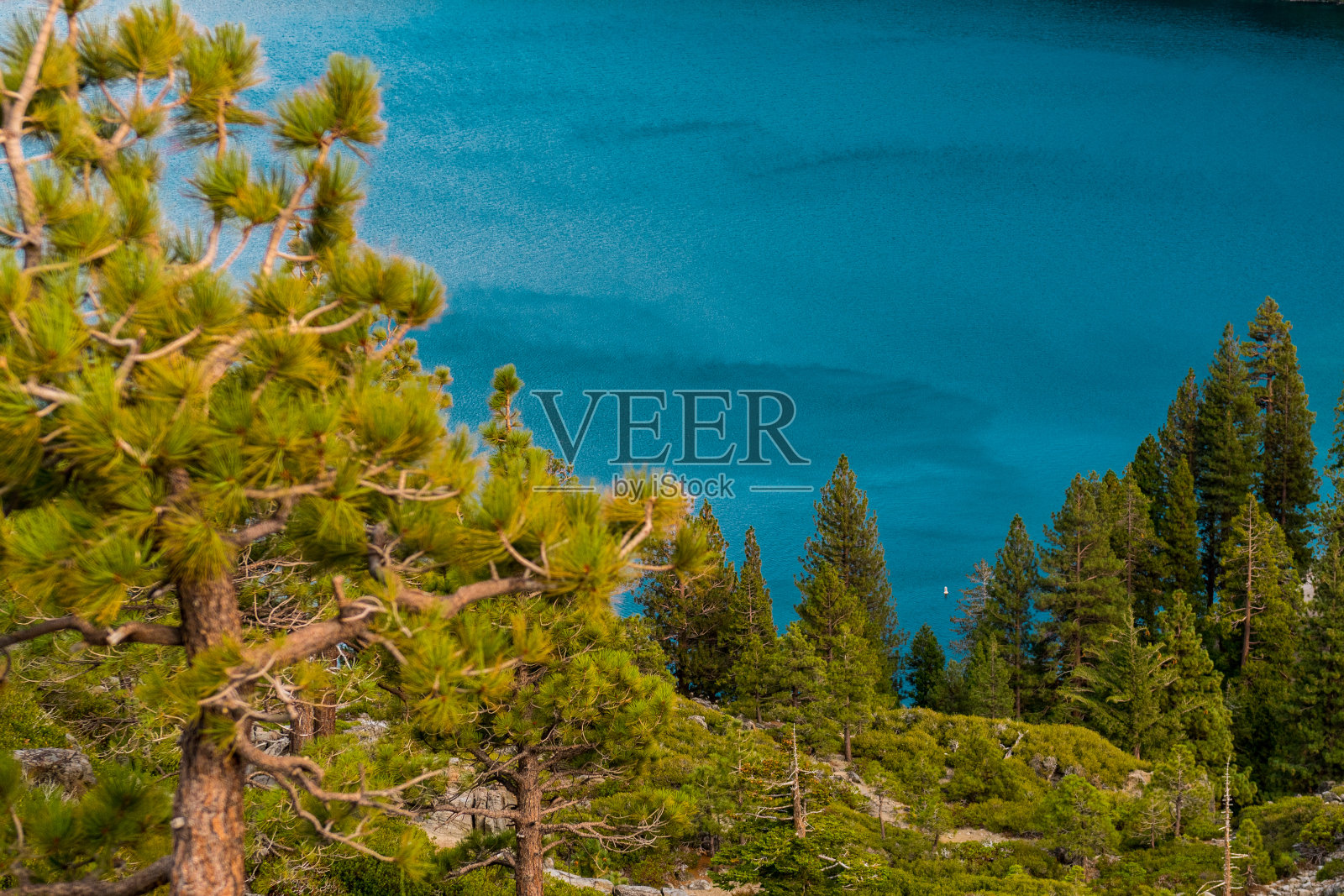 风在翡翠湾的水在太浩湖的细节照片摄影图片