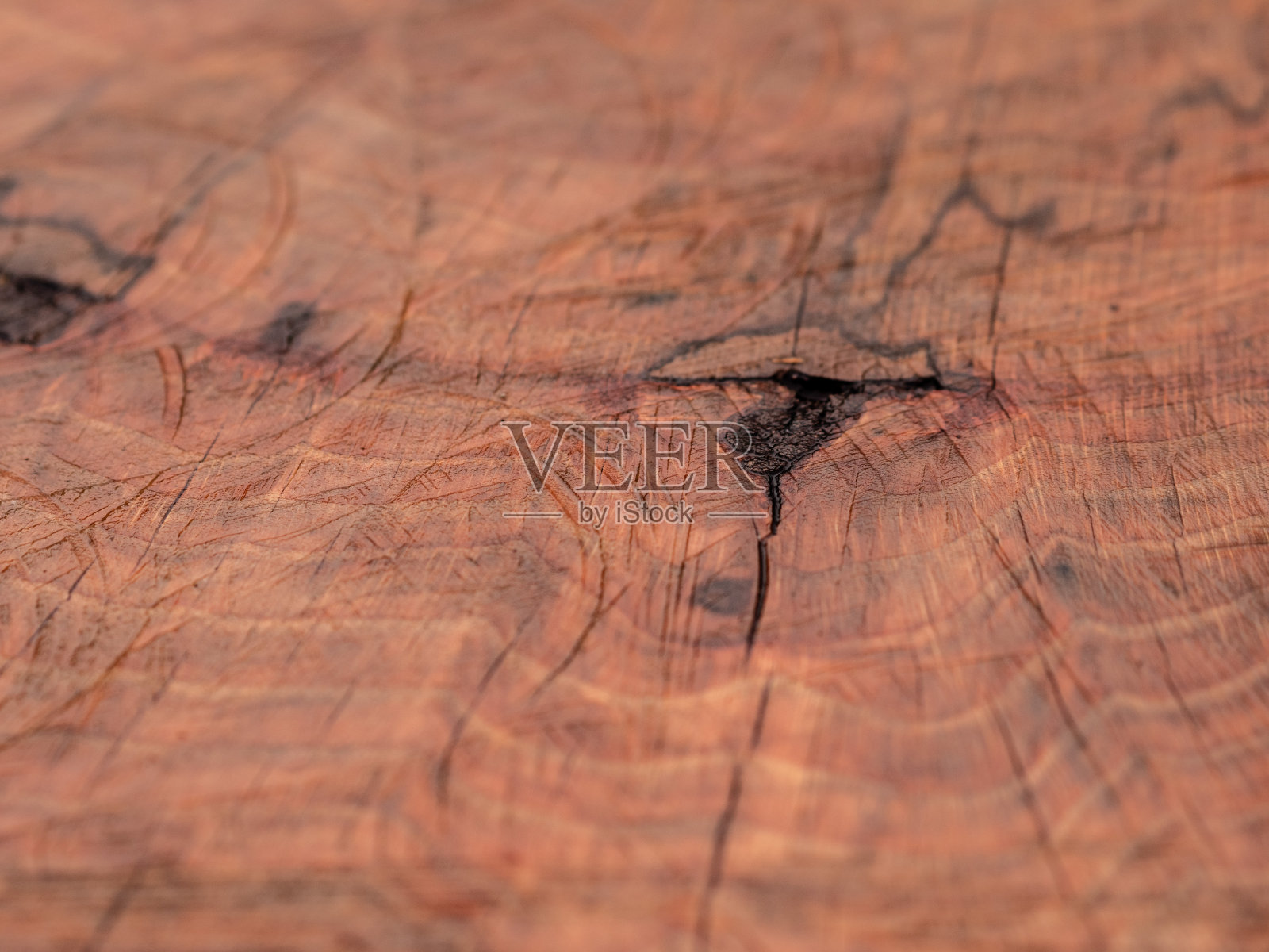 微距拍摄的谷物从切一块木头照片摄影图片