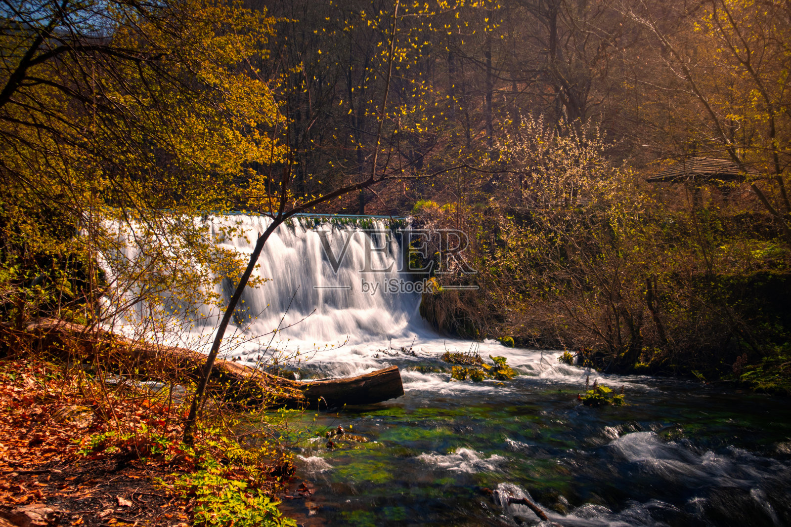 早春河里的瀑布照片摄影图片