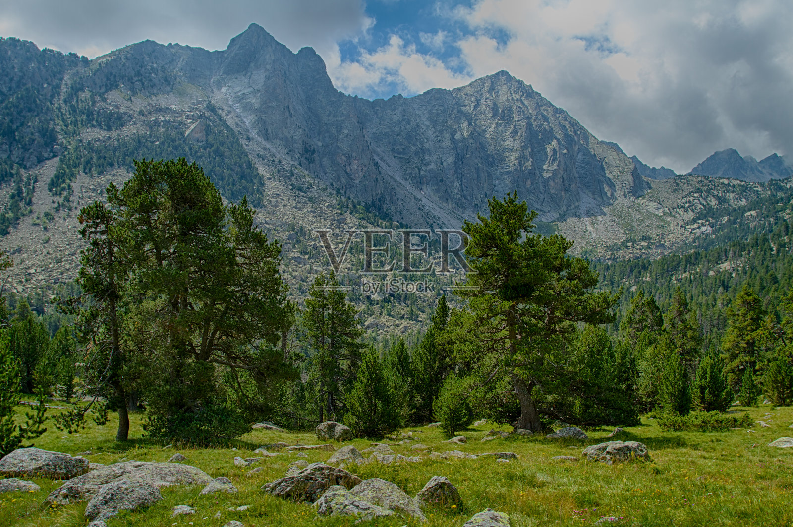 帕拉斯索比拉照片摄影图片