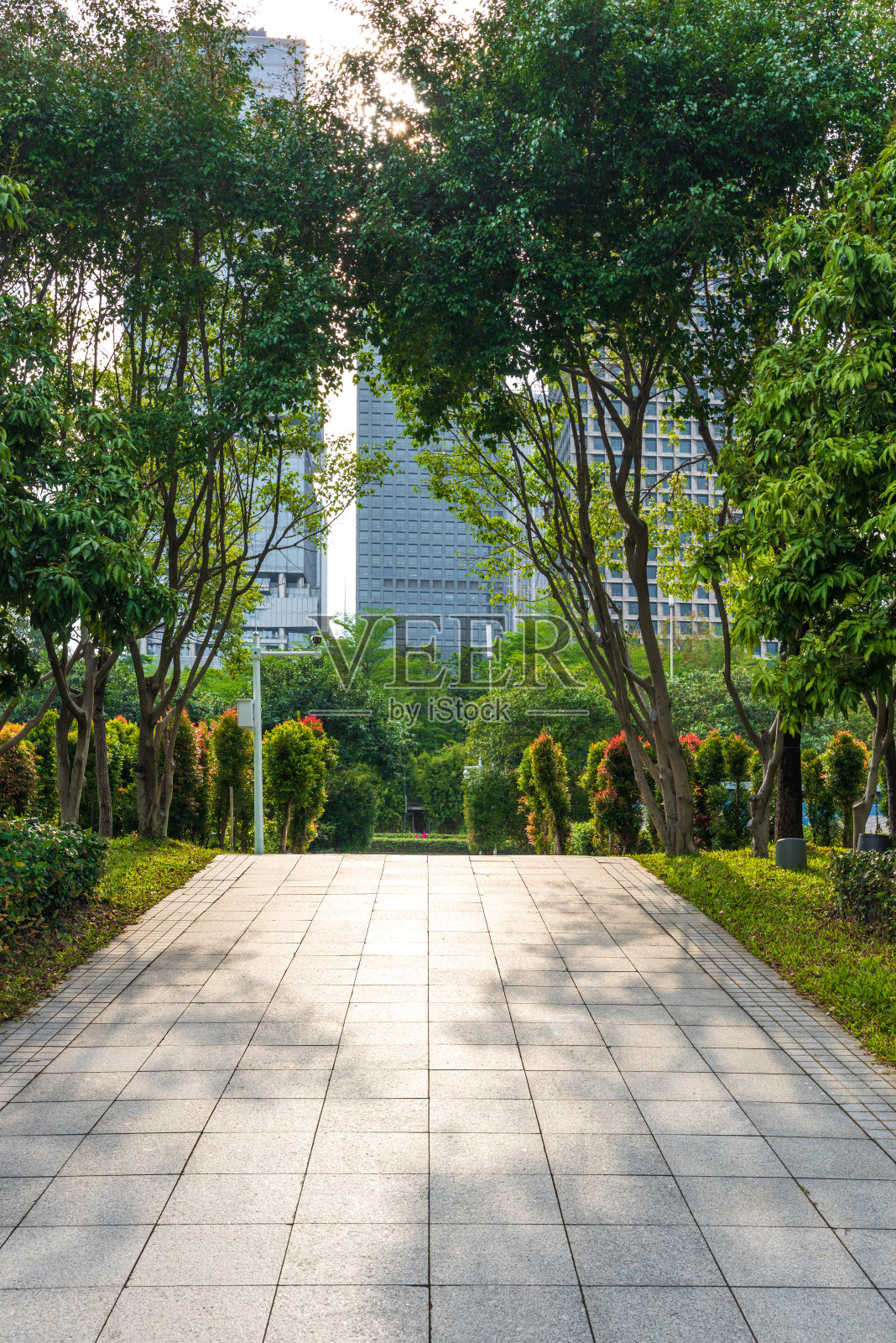 深圳城市的道路照片摄影图片