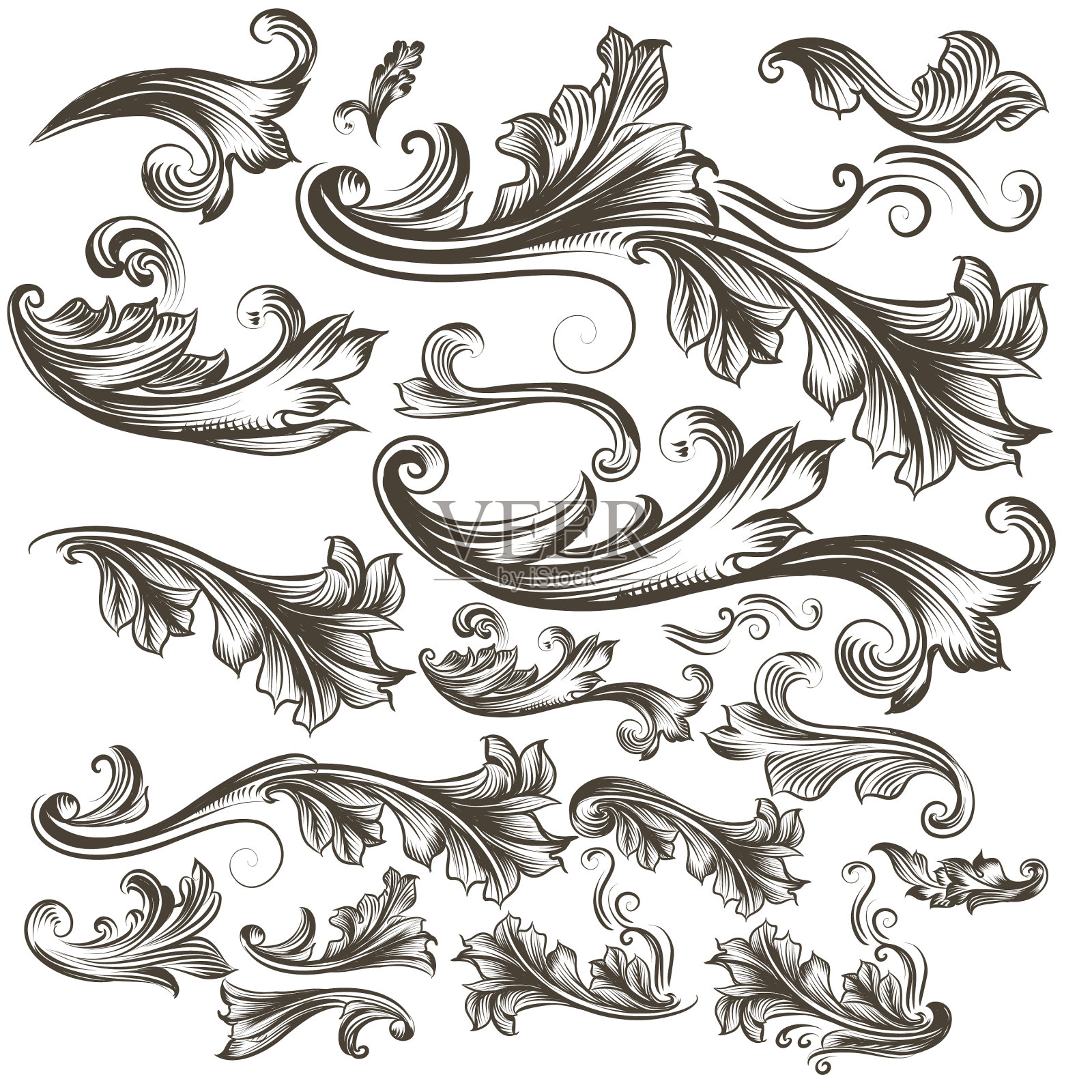 收集手绘花卉漩涡的设计设计元素图片