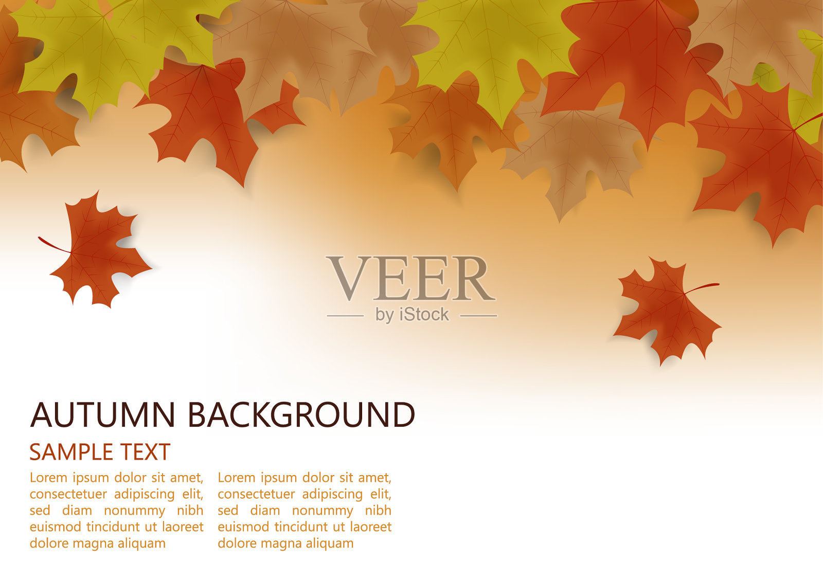 秋天的背景装饰与秋天的枫叶插画图片素材