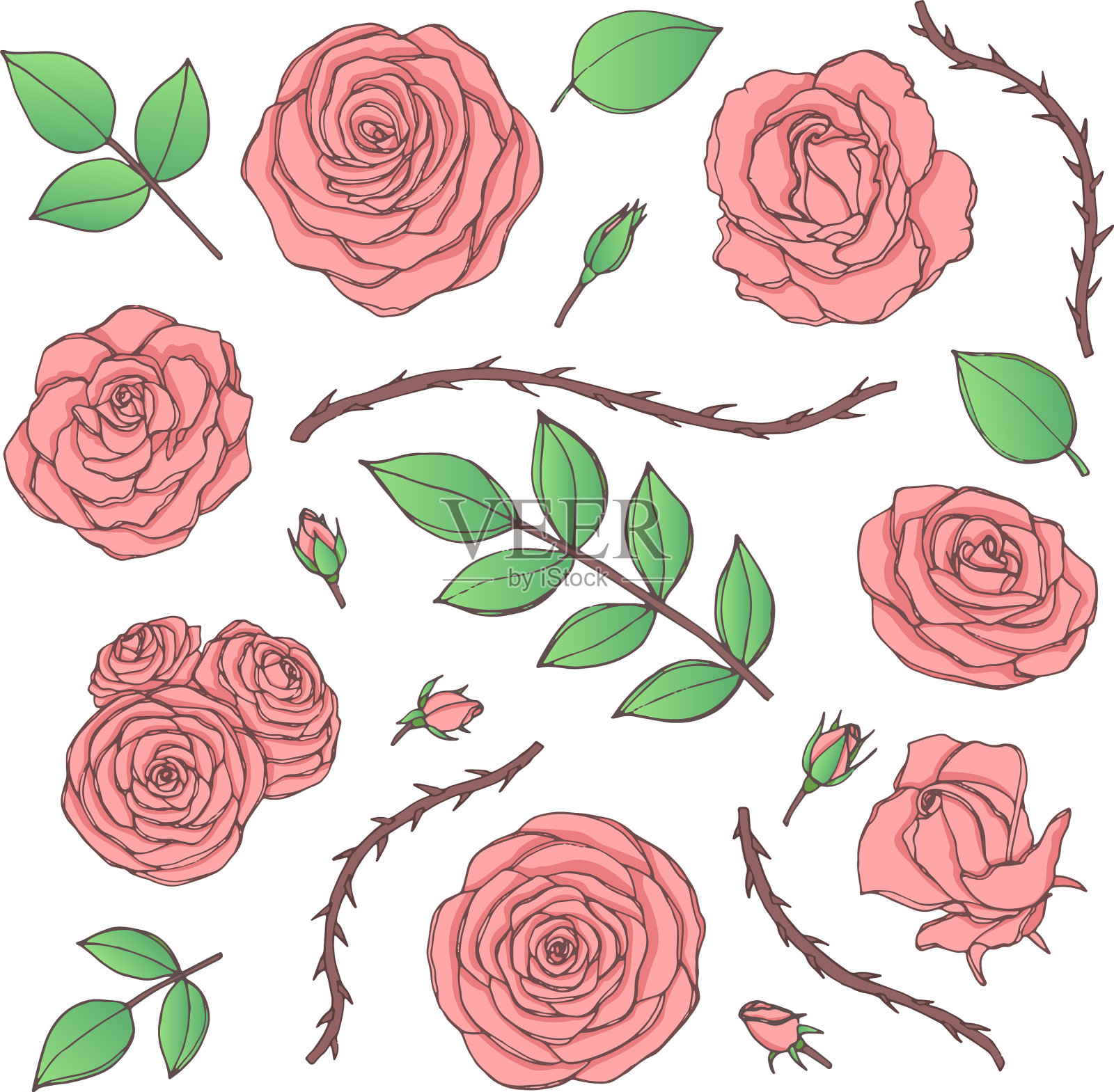 一组带花蕾和叶子的粉红色玫瑰花插画图片素材