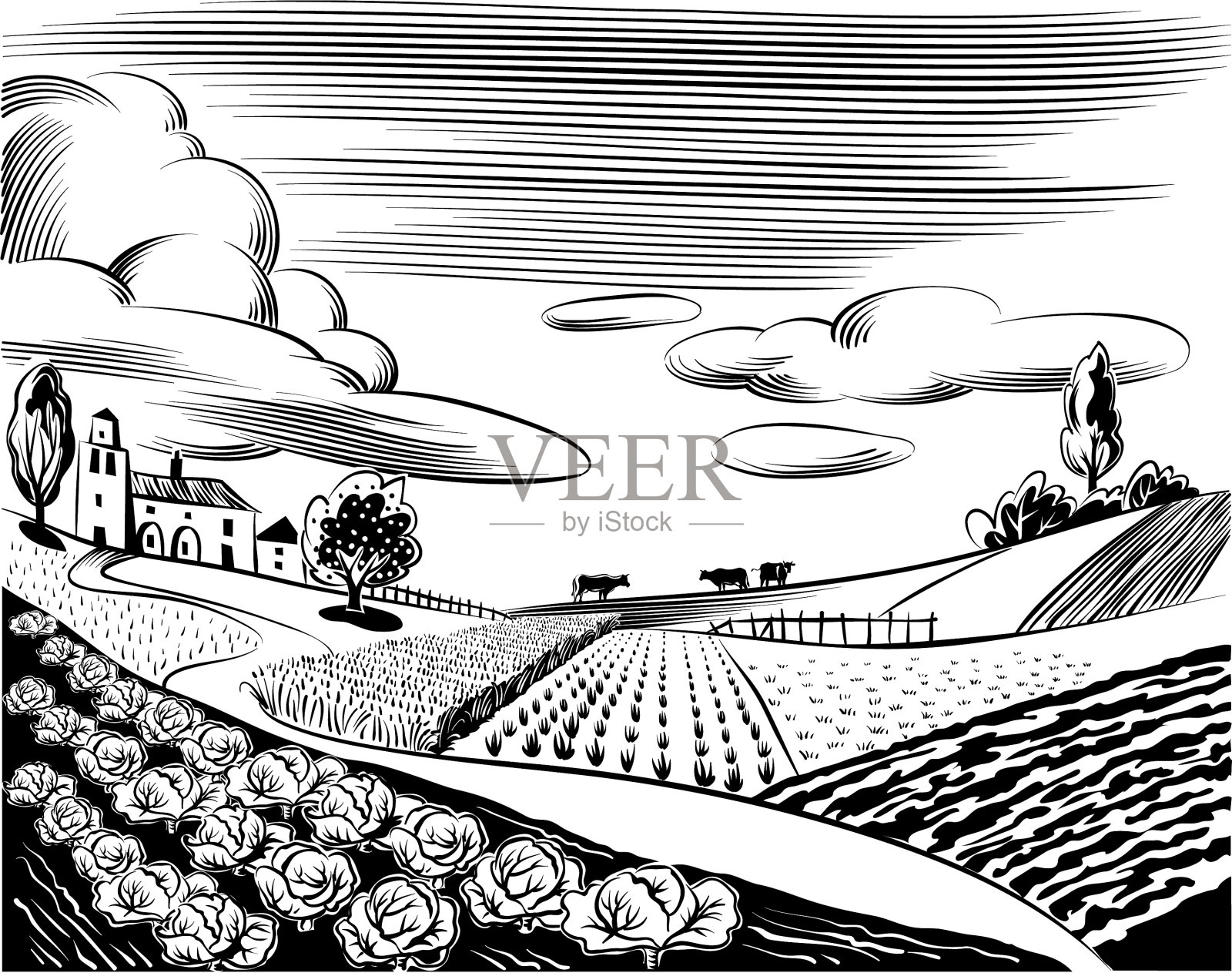 有奶牛的农业景观插画图片素材