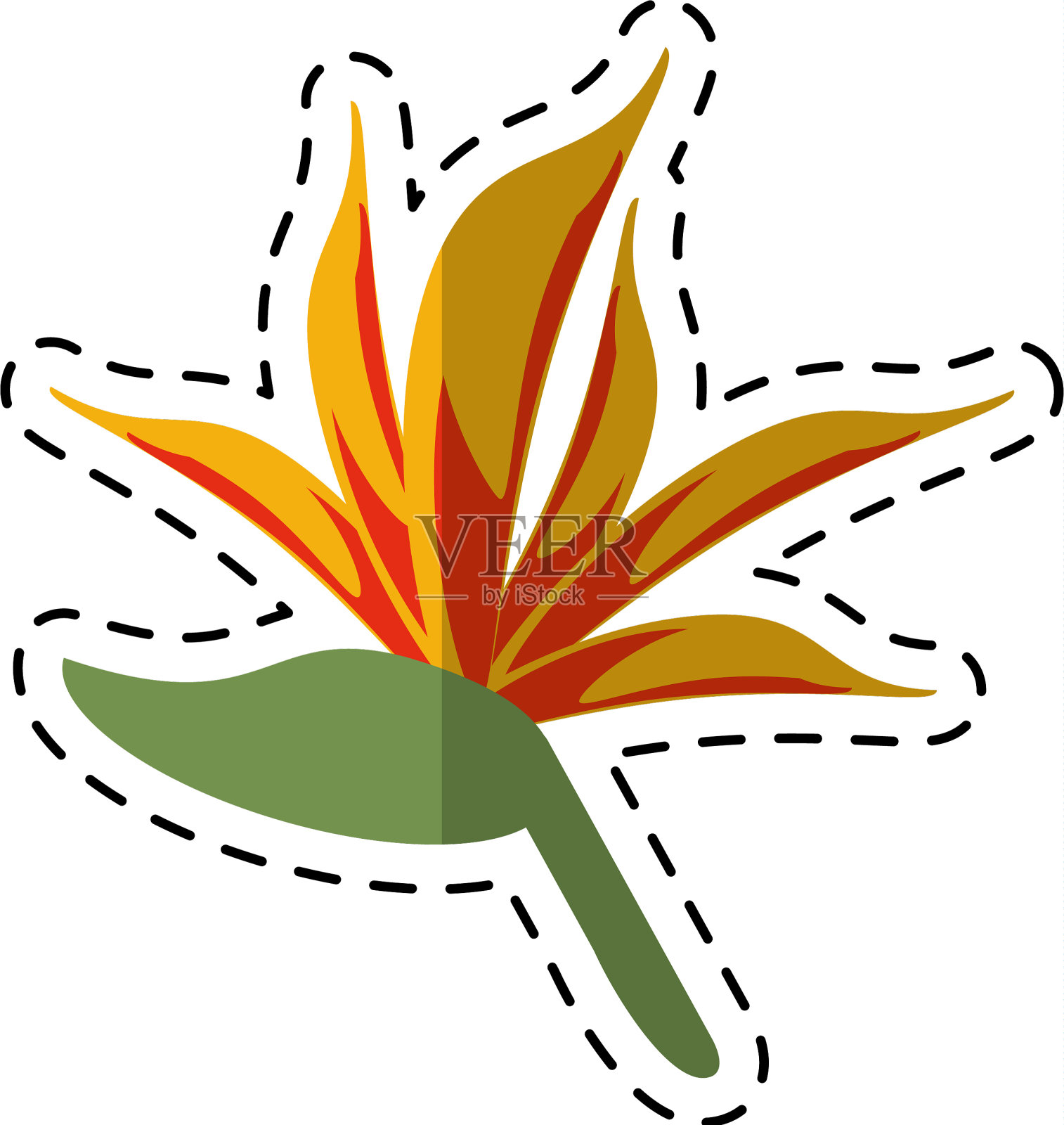 卡通天堂鸟花插画图片素材