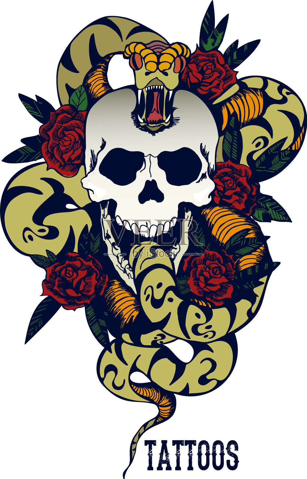 有蛇和五朵玫瑰纹身的骷髅插画图片素材