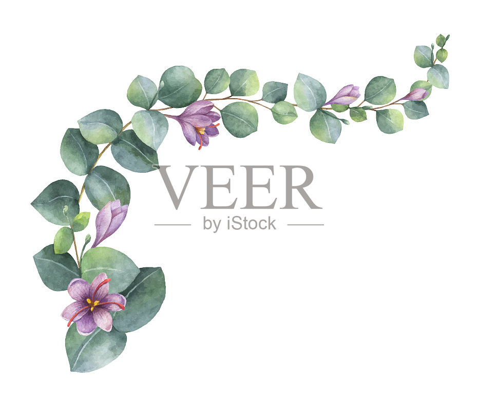 用绿色桉树画的水彩花环设计元素图片