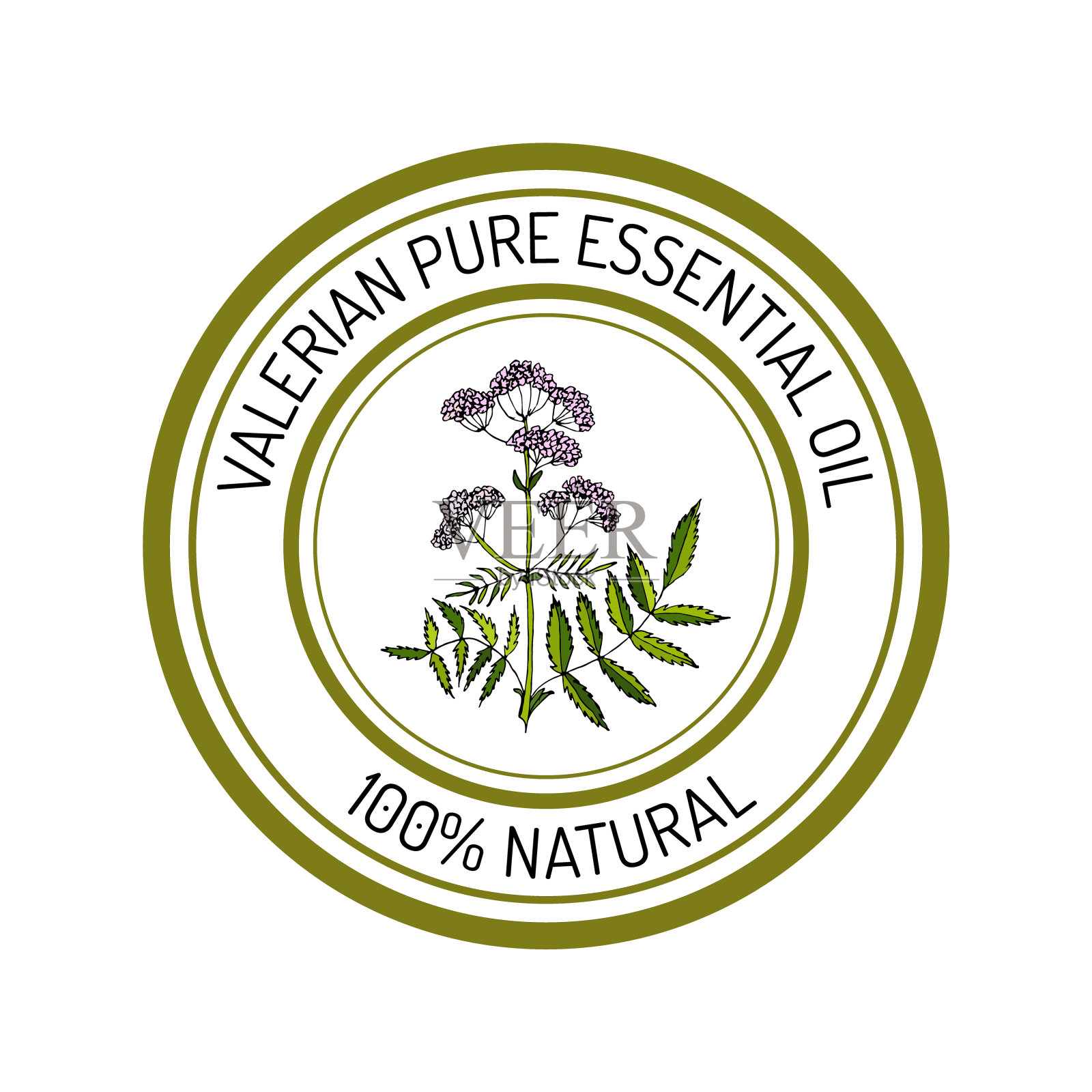 缬草精油标签芳香植物设计元素图片