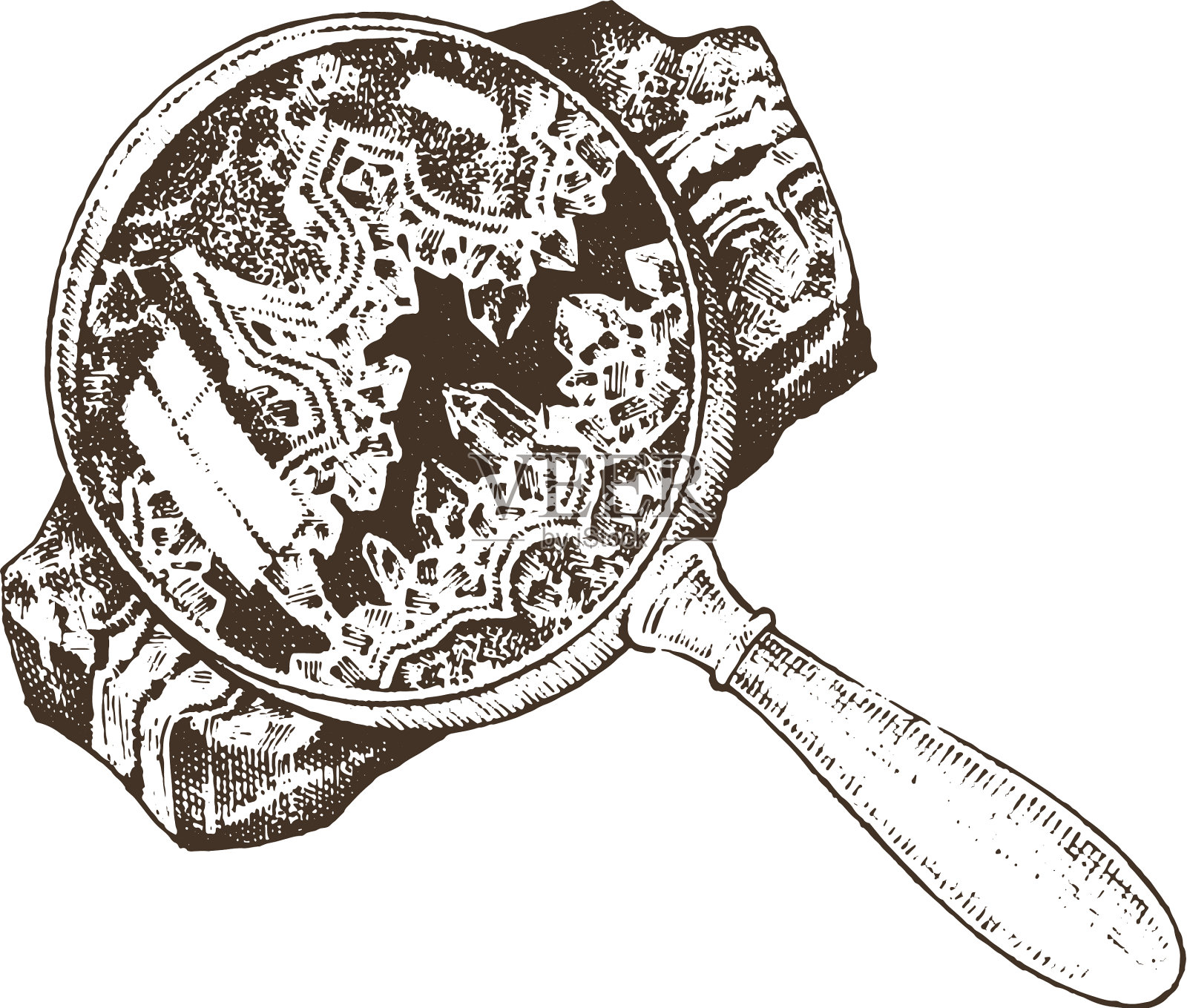 植物化石和石头设计元素图片