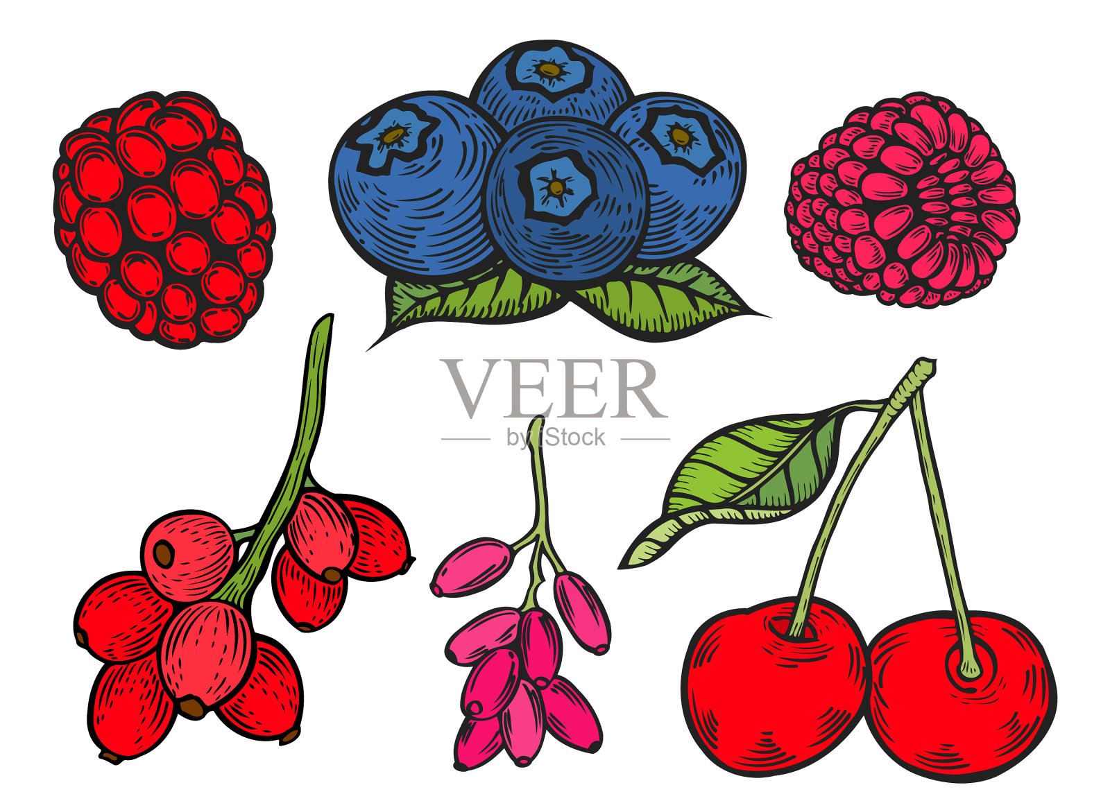 浆果颜色设置设计元素图片