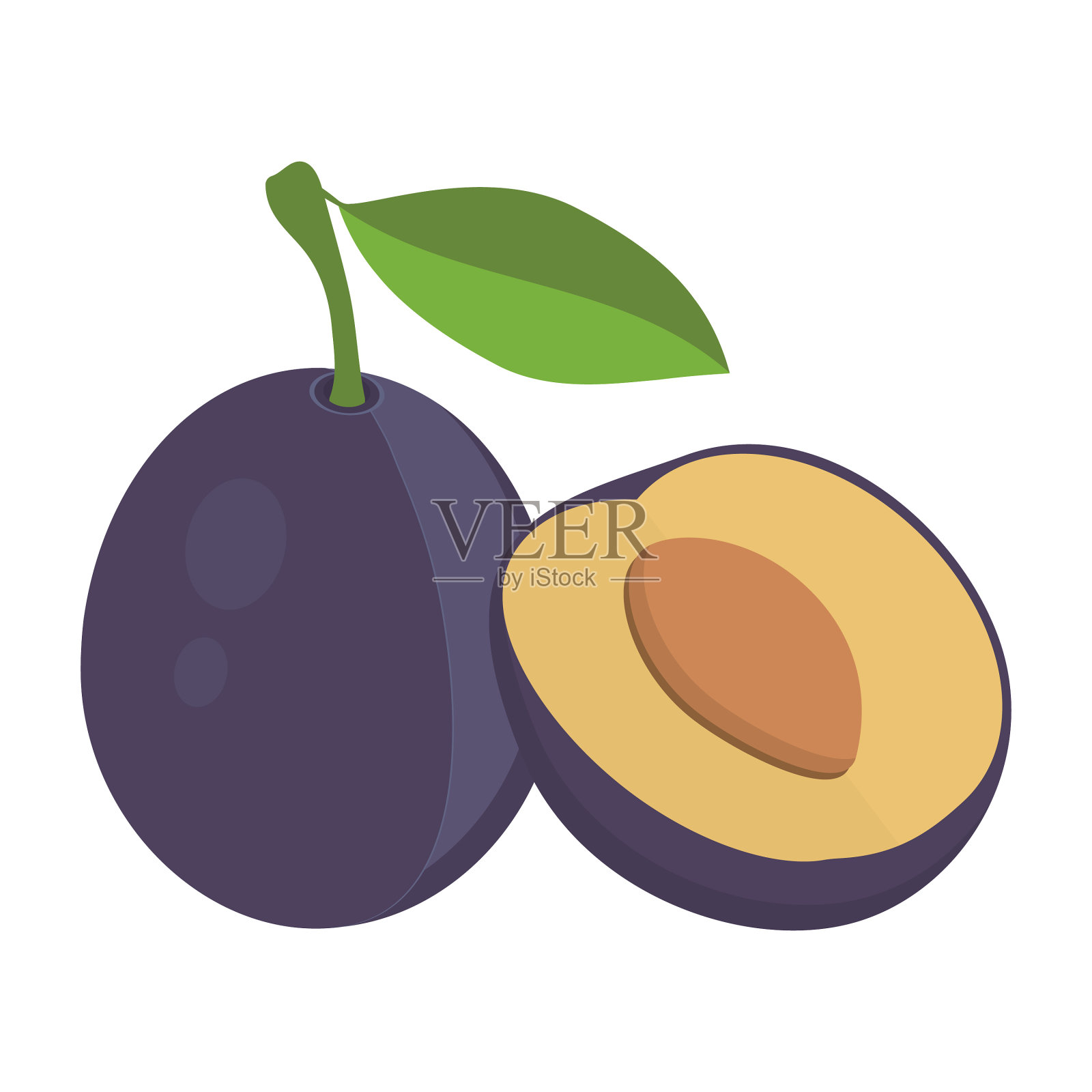 李子与叶设计元素图片