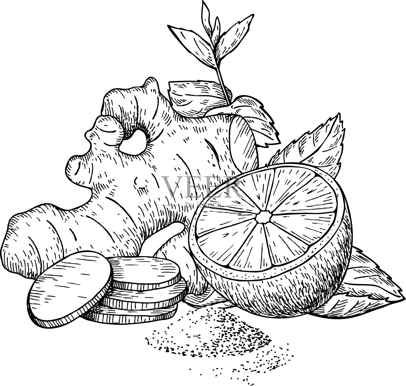 生姜、柠檬、薄荷等提取甘草设计元素图片