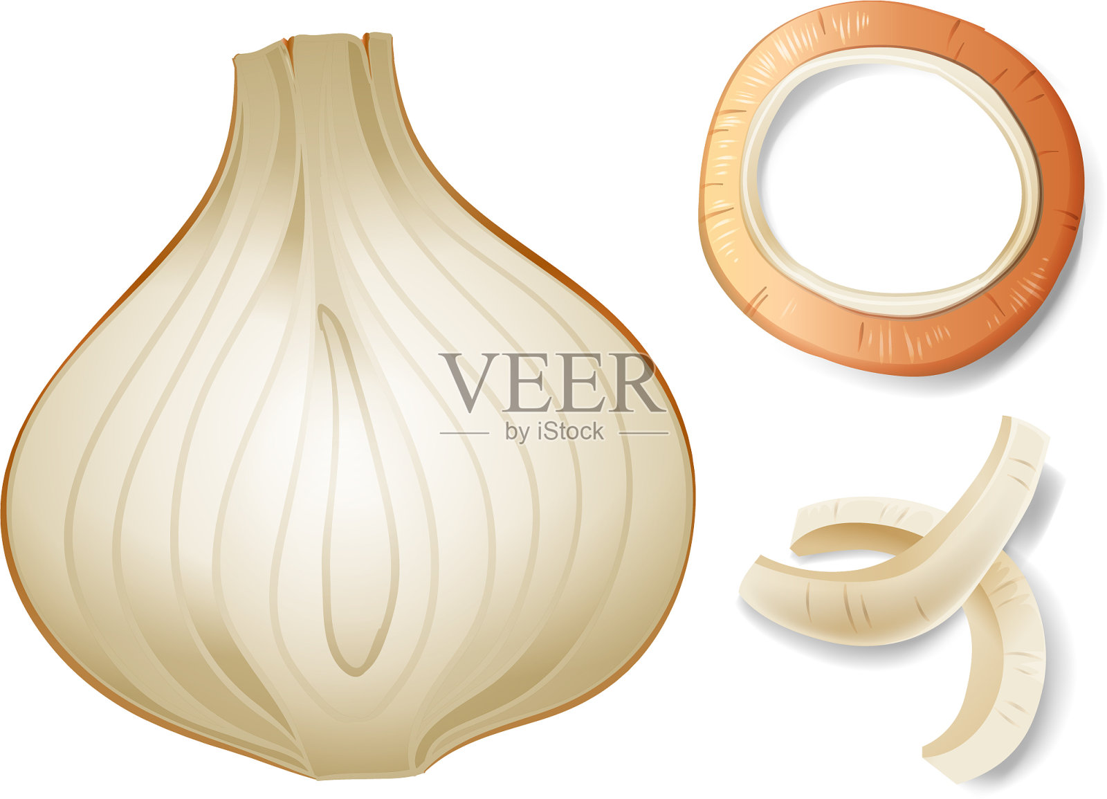 新鲜洋葱和不同的切片设计元素图片