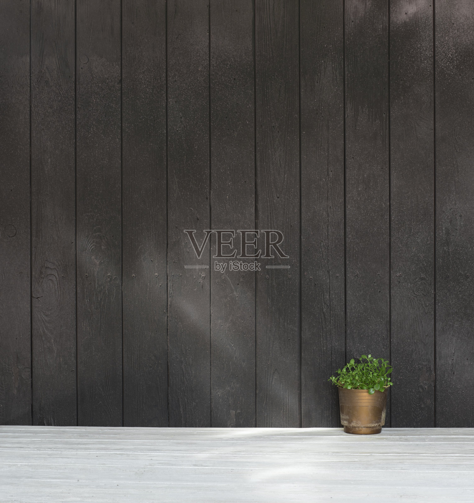 乡村室内白色木地板和黑色木墙照片摄影图片