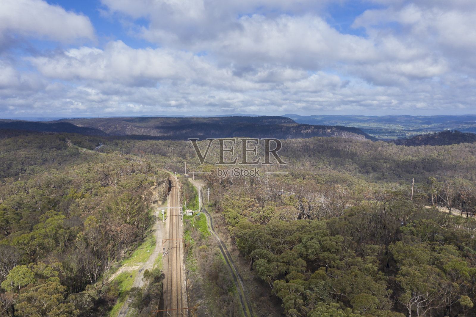 穿过森林的区域铁路线照片摄影图片