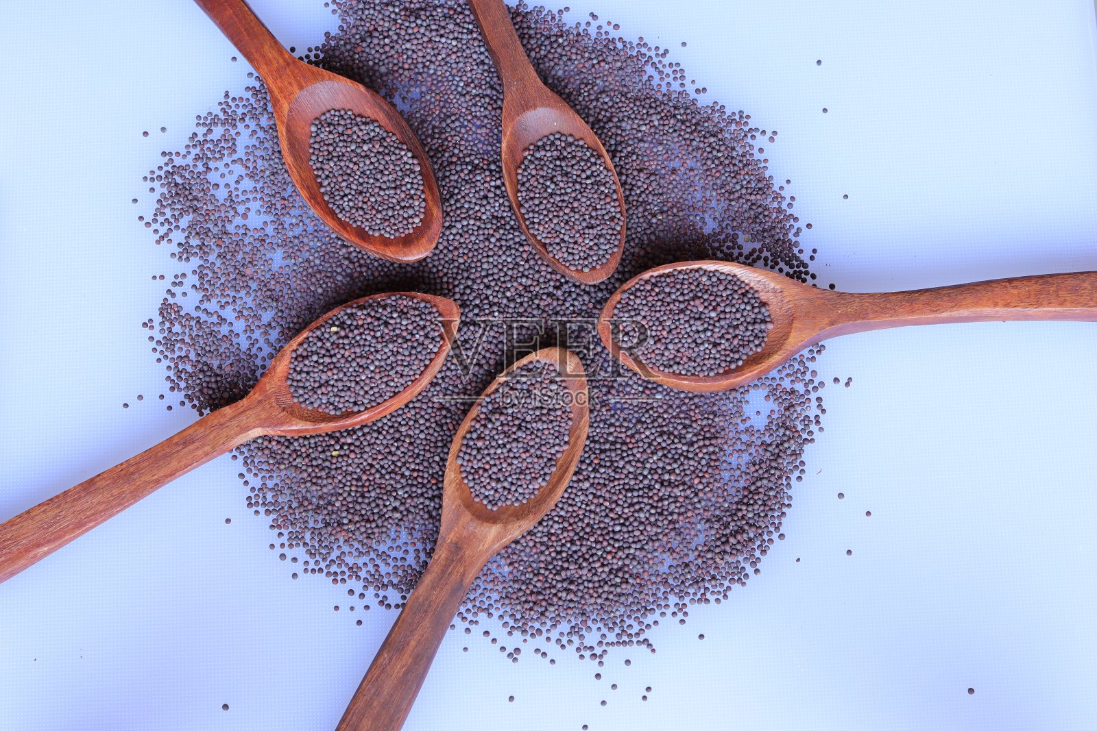 在白色背景上分离的集合种子照片摄影图片