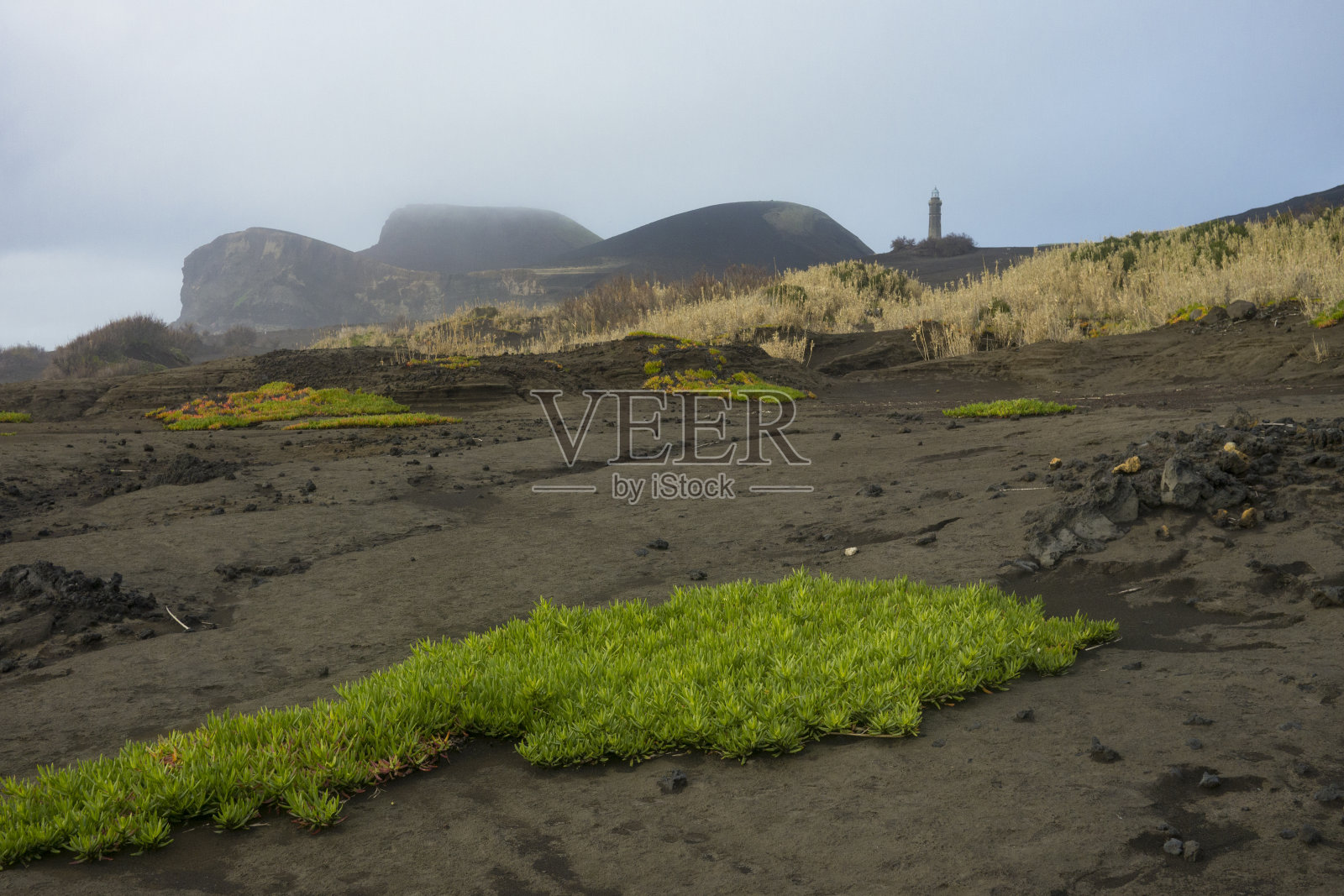 蓬塔多斯卡佩林霍斯灯塔,拉维奇菲尔德,法伊尔,亚速尔照片摄影图片