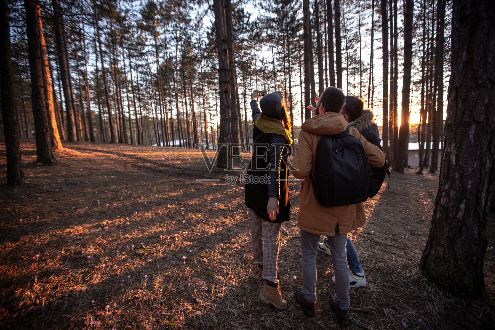 森林里的朋友照片摄影图片
