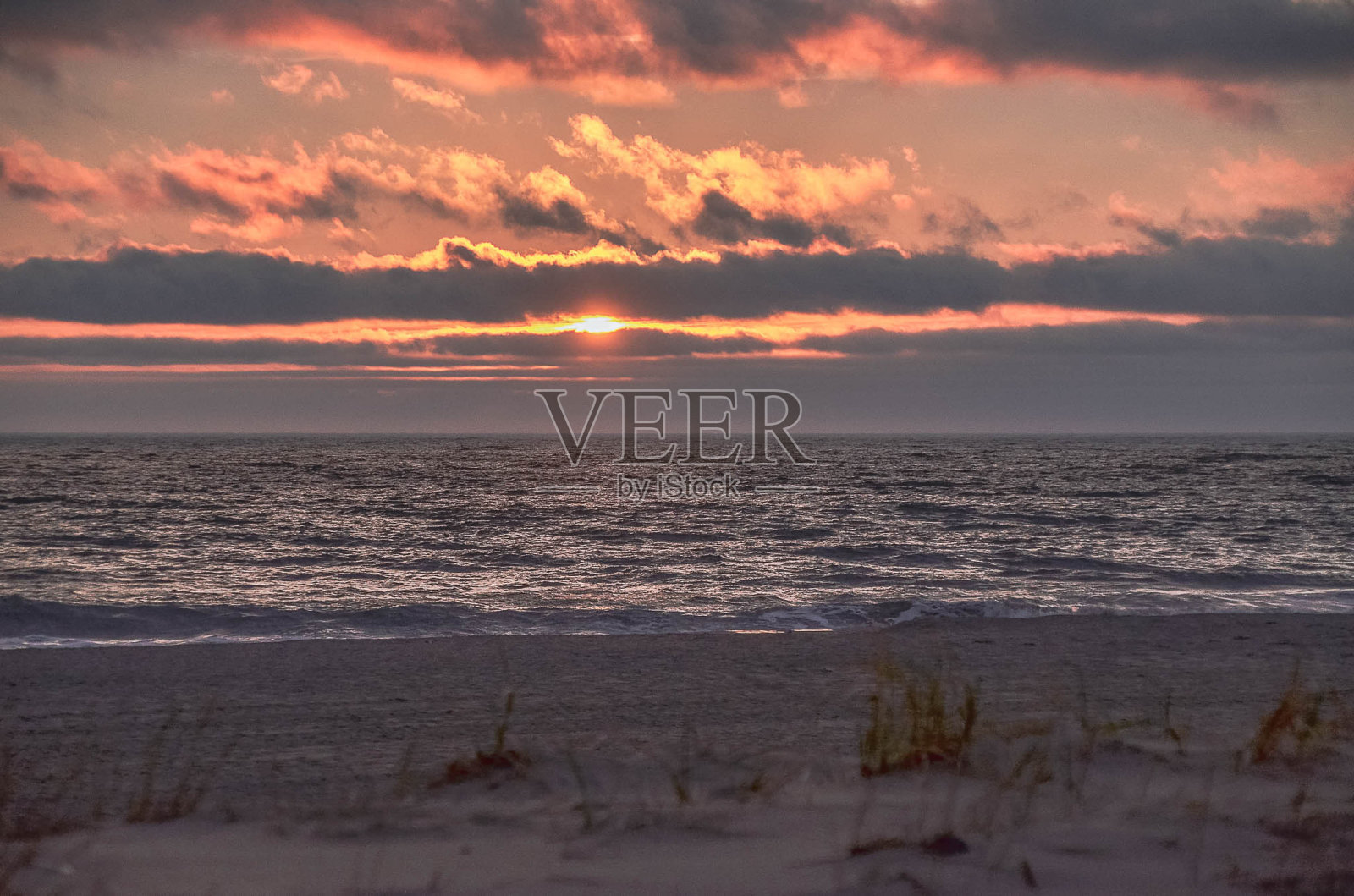 美国雷霍博斯海滩照片摄影图片