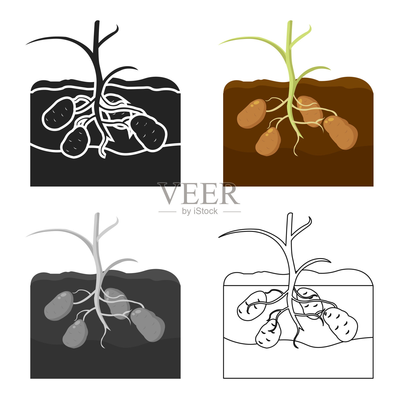 马铃薯图标卡通单植物图标插画图片素材