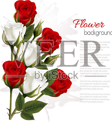 漂亮的贺卡和彩色的玫瑰插画图片素材