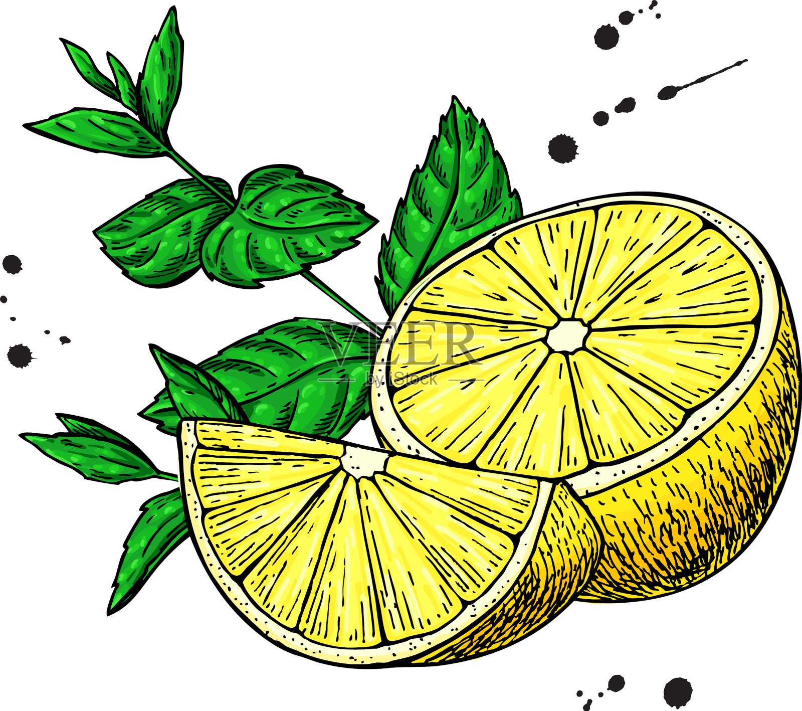 柠檬和薄荷画手绘片设计元素图片