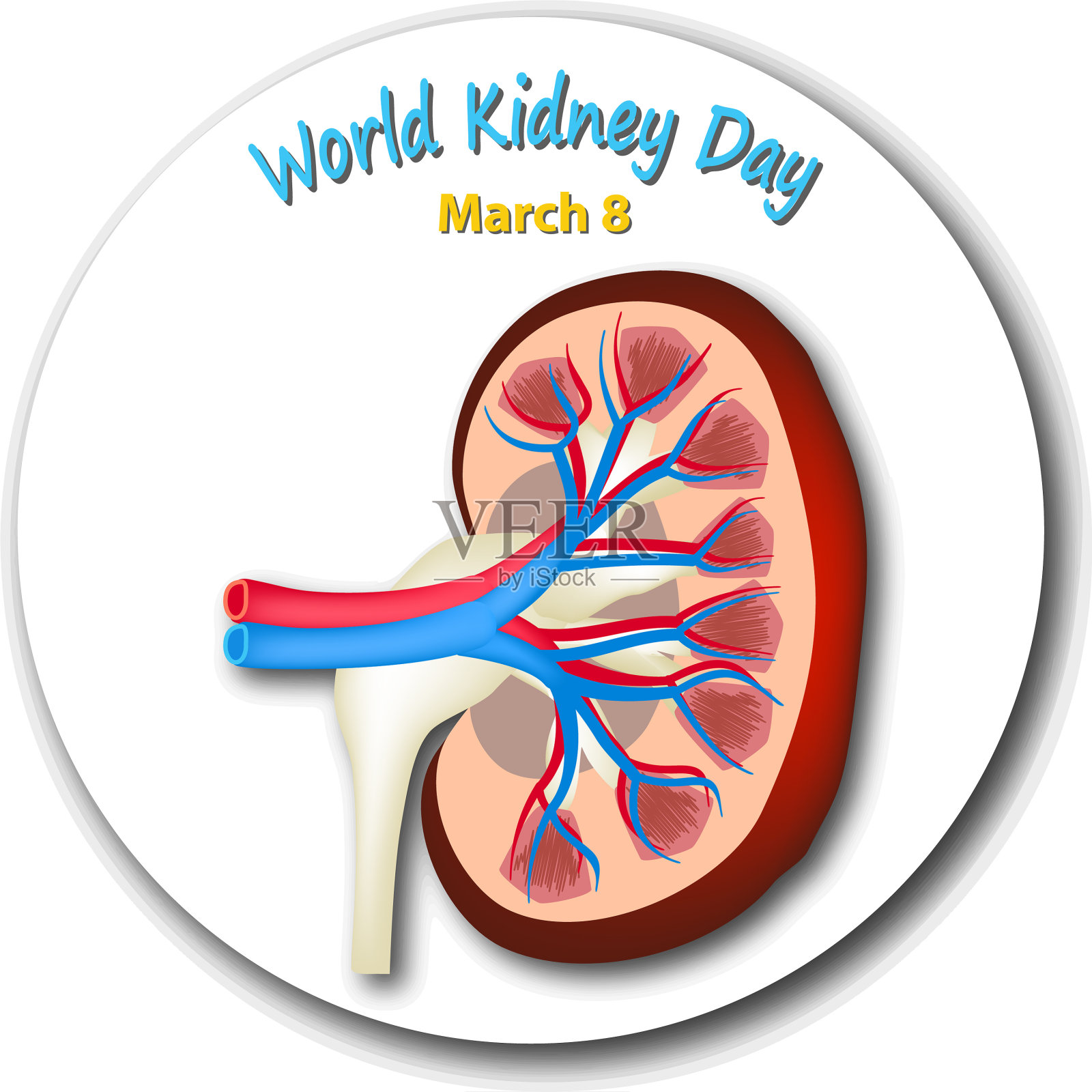 世界肾日圆象征插画图片素材