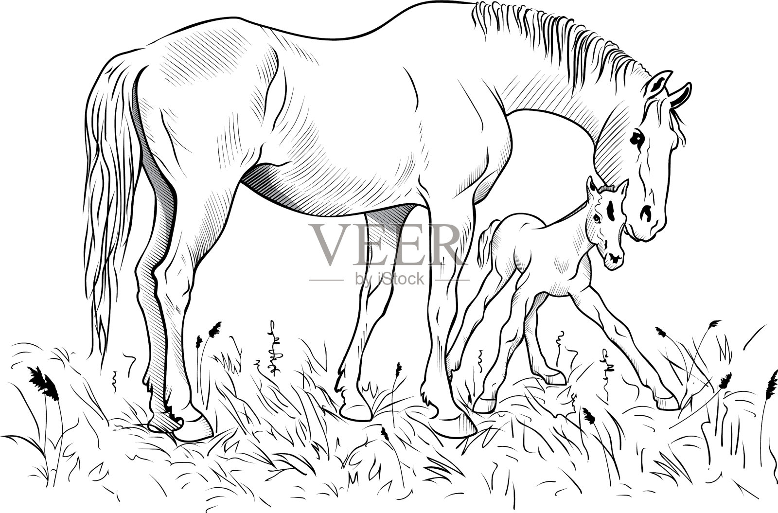 母马和马驹设计元素图片