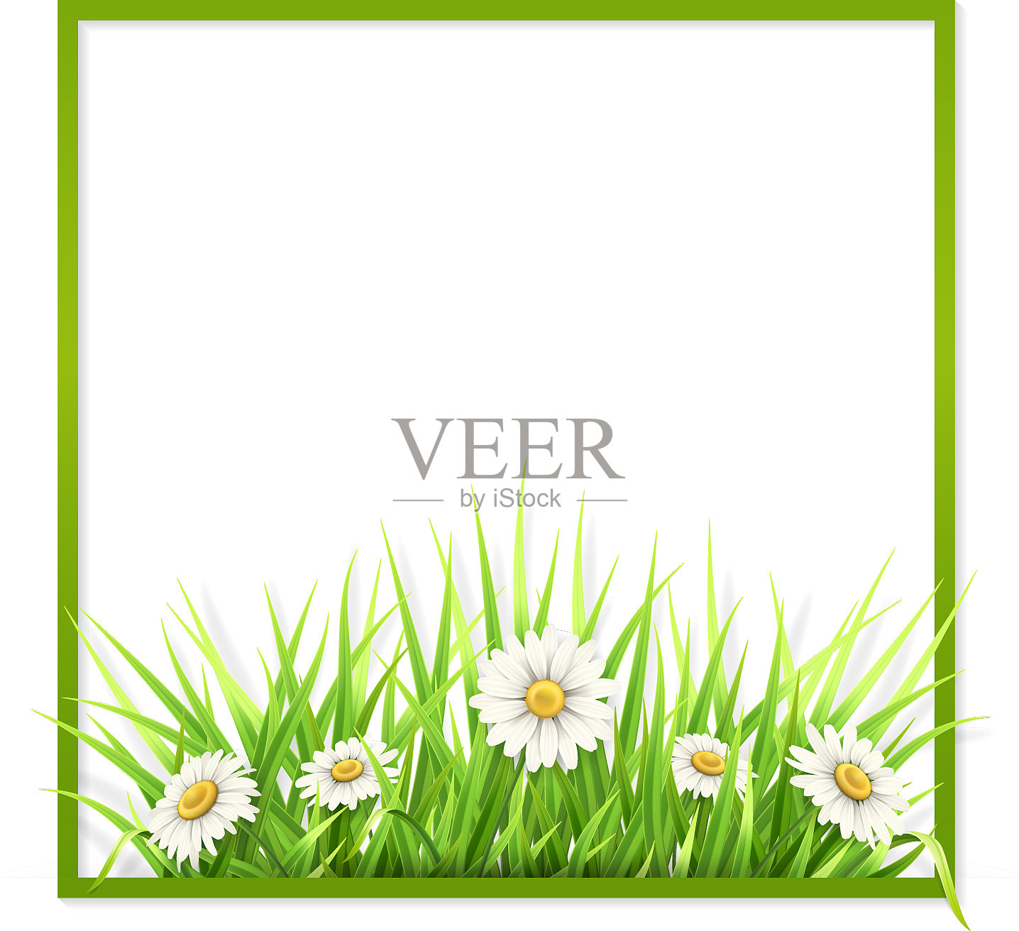 绿色框架与草和雏菊设计元素图片