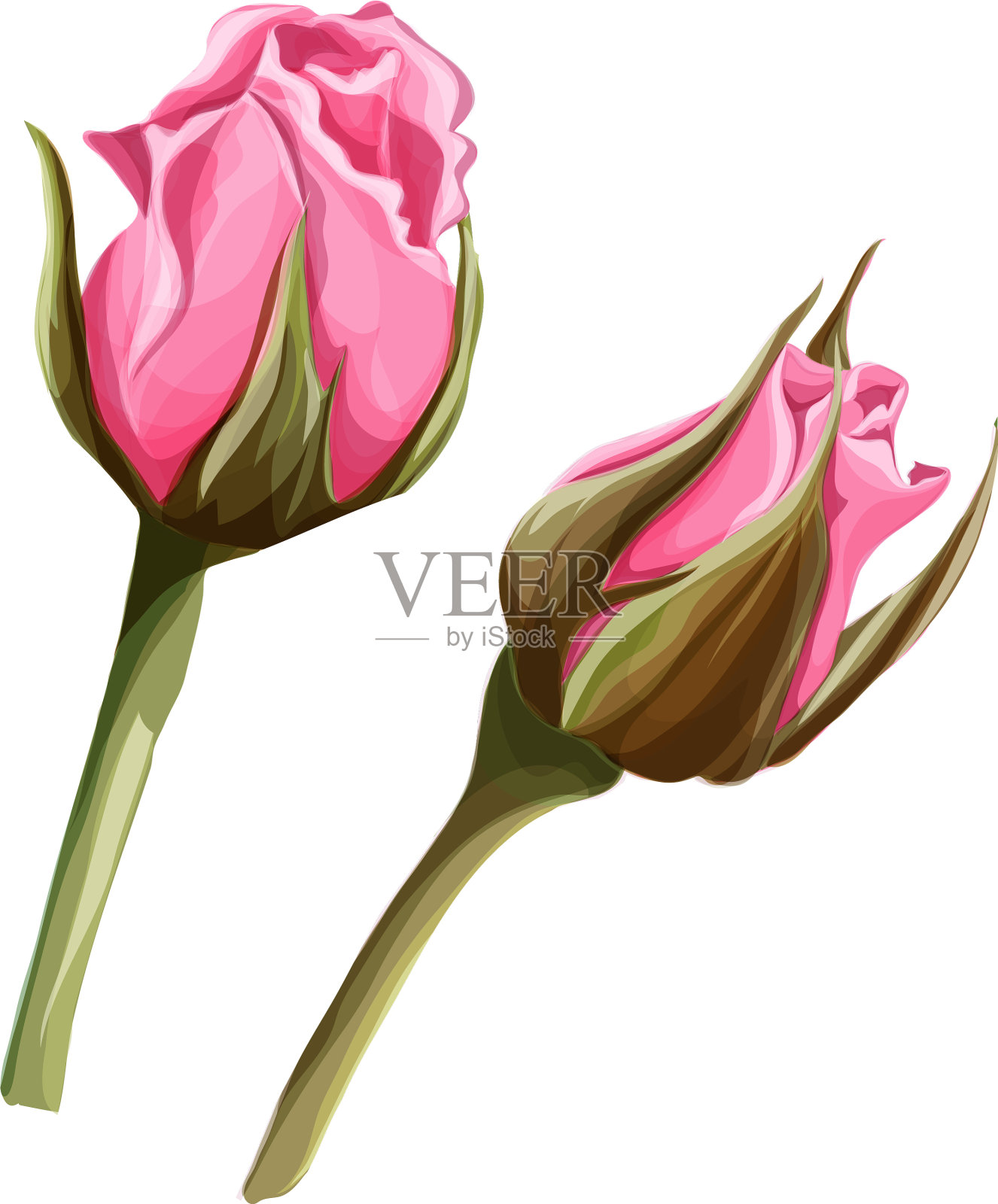 手画闭合玫瑰花集设计元素图片