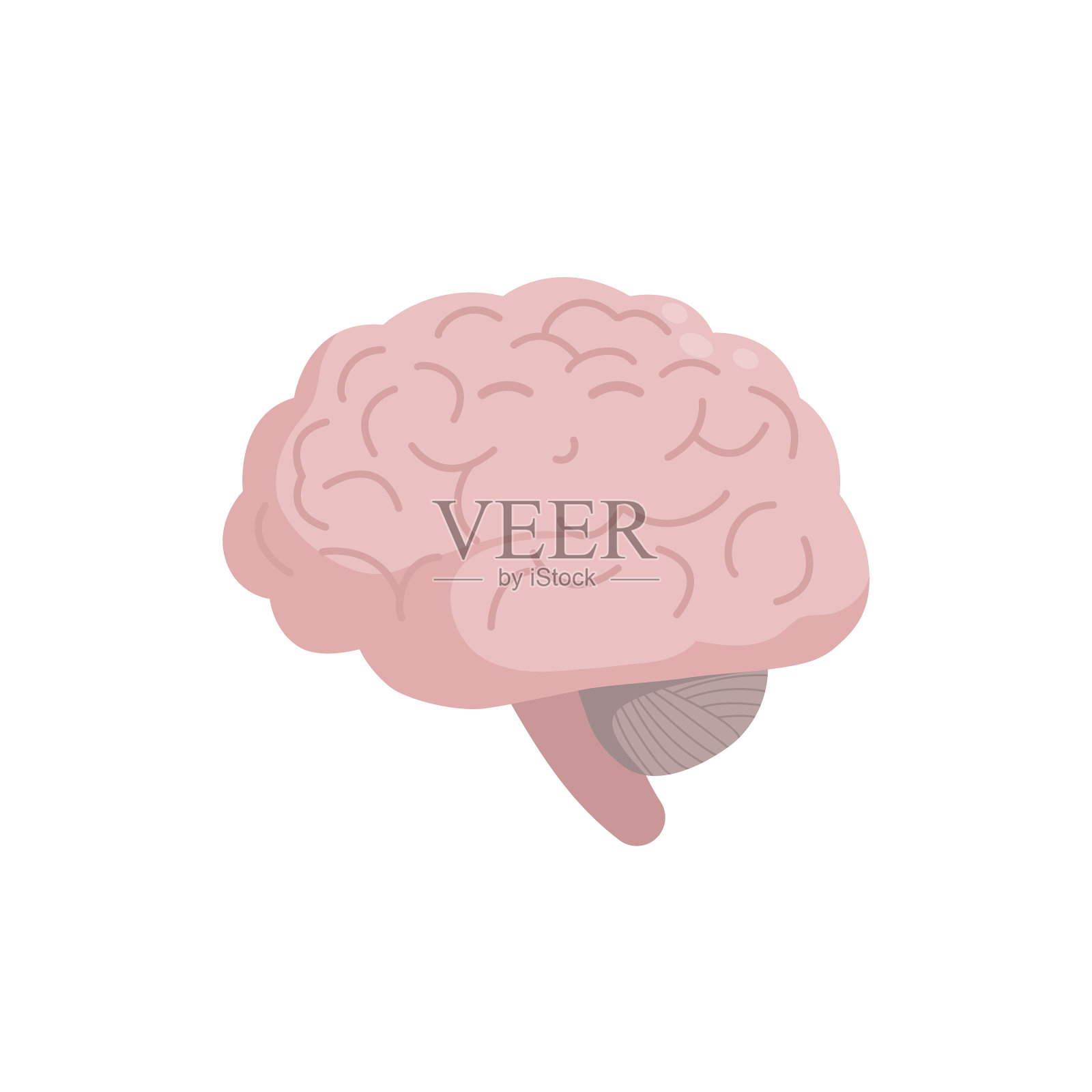 健康的大脑图标孤立在白色背景上图标素材