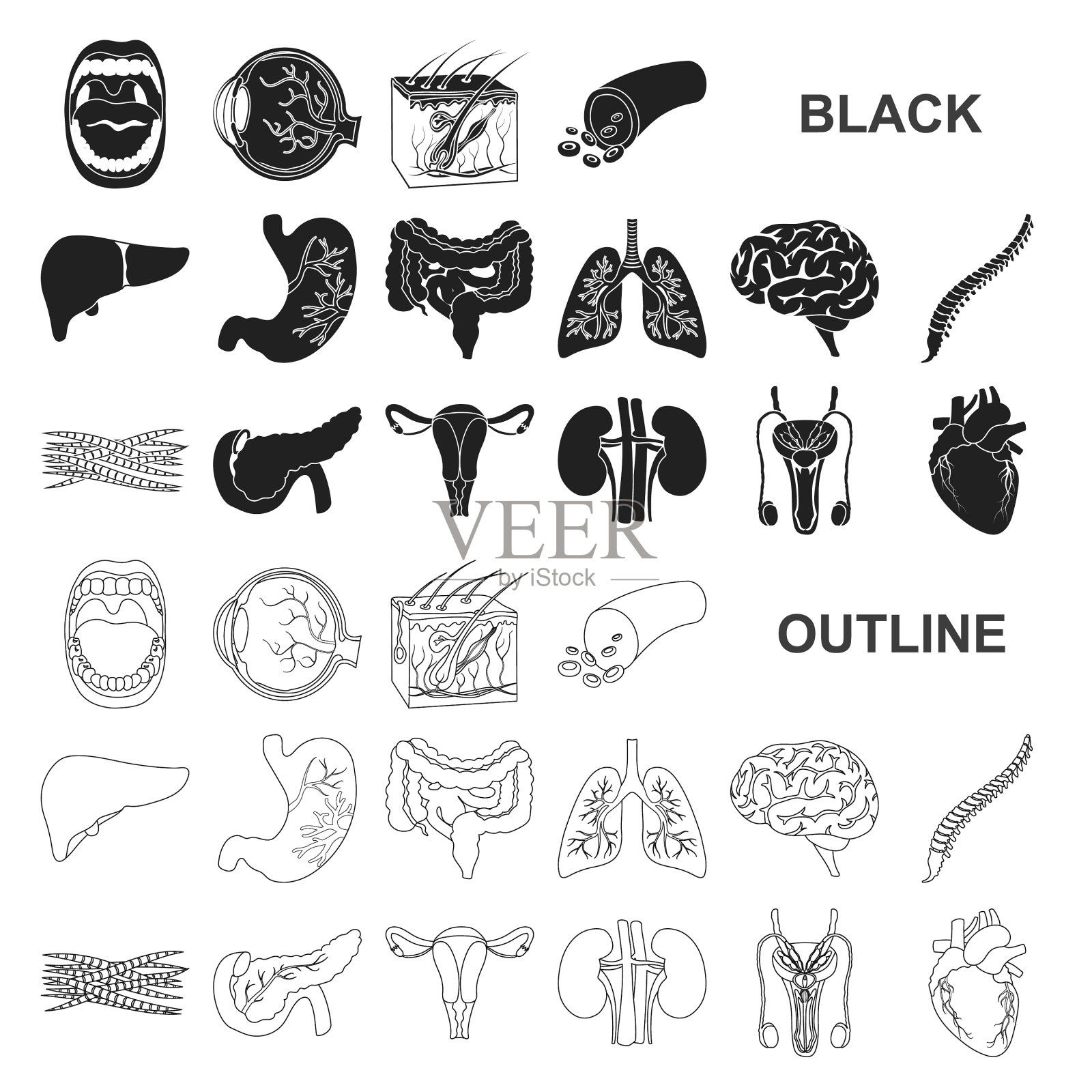 人体内部器官黑色图标设置图标素材