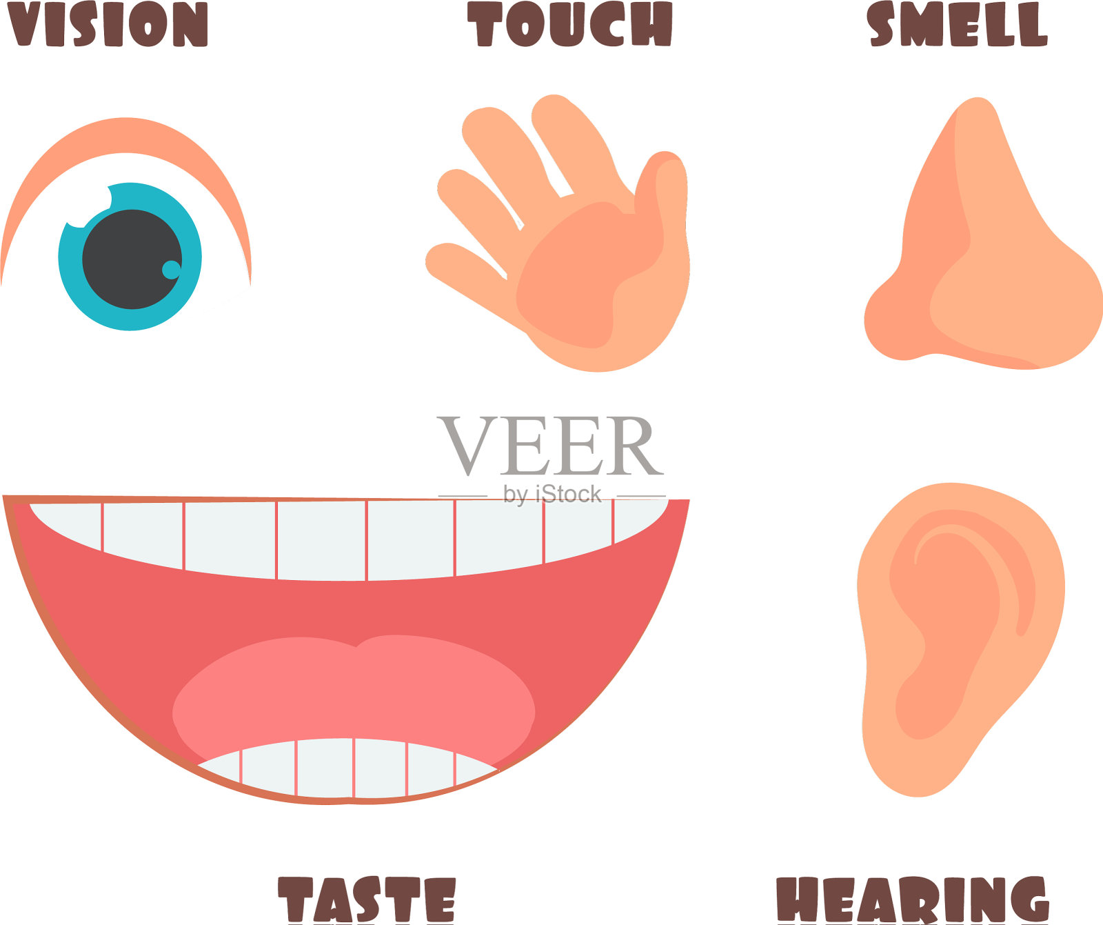 人类用眼睛和鼻子感知卡通图标插画图片素材