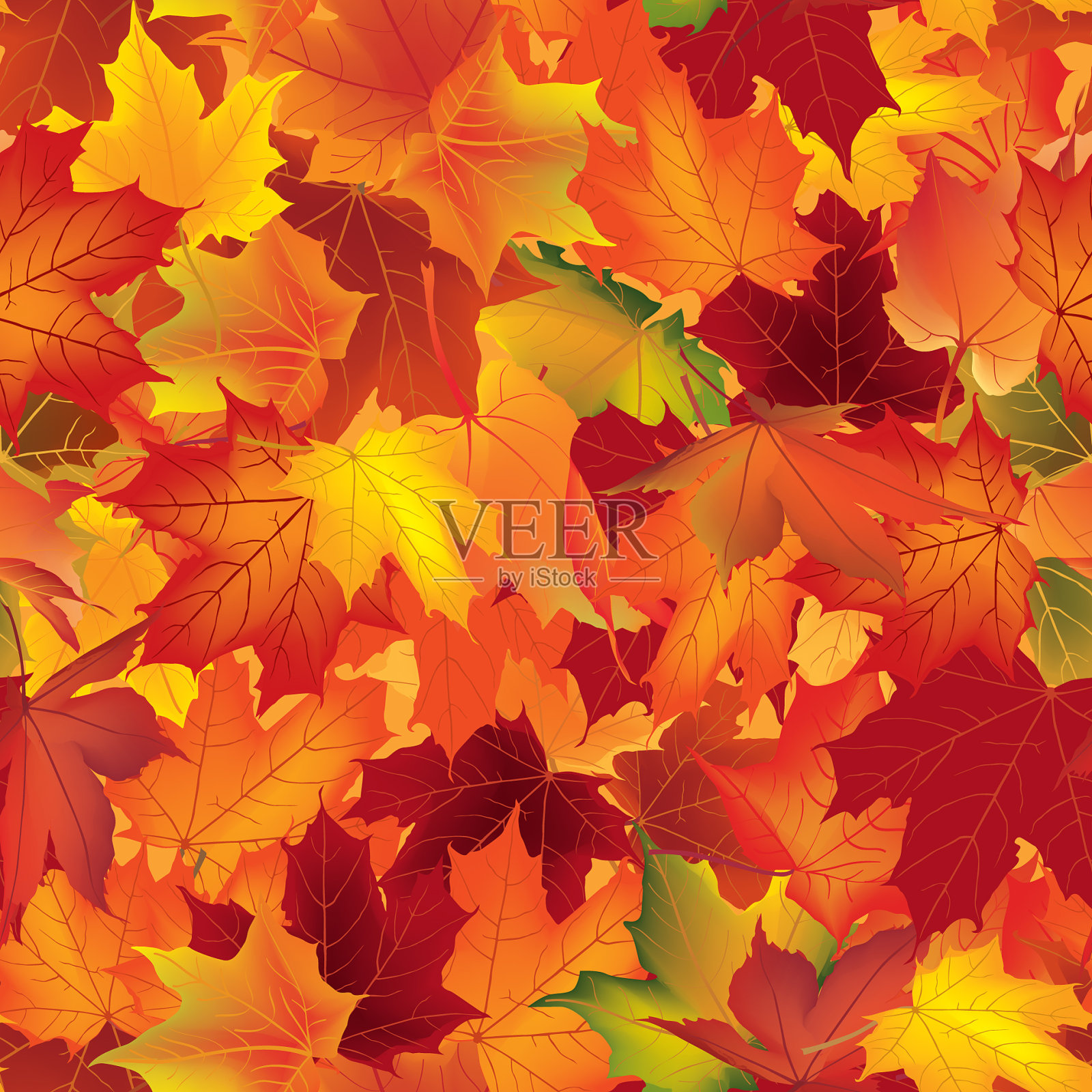 秋天的纹理花香枫叶落得天衣无缝插画图片素材