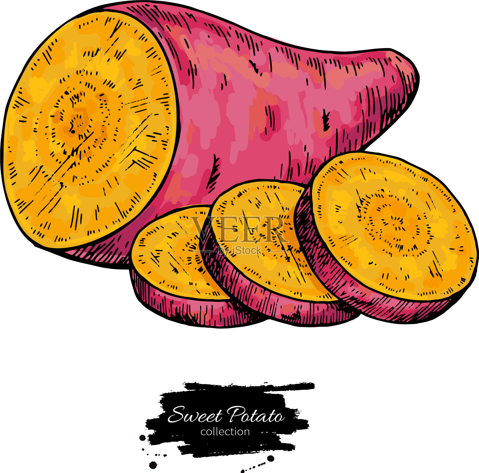 红薯手绘设计元素图片