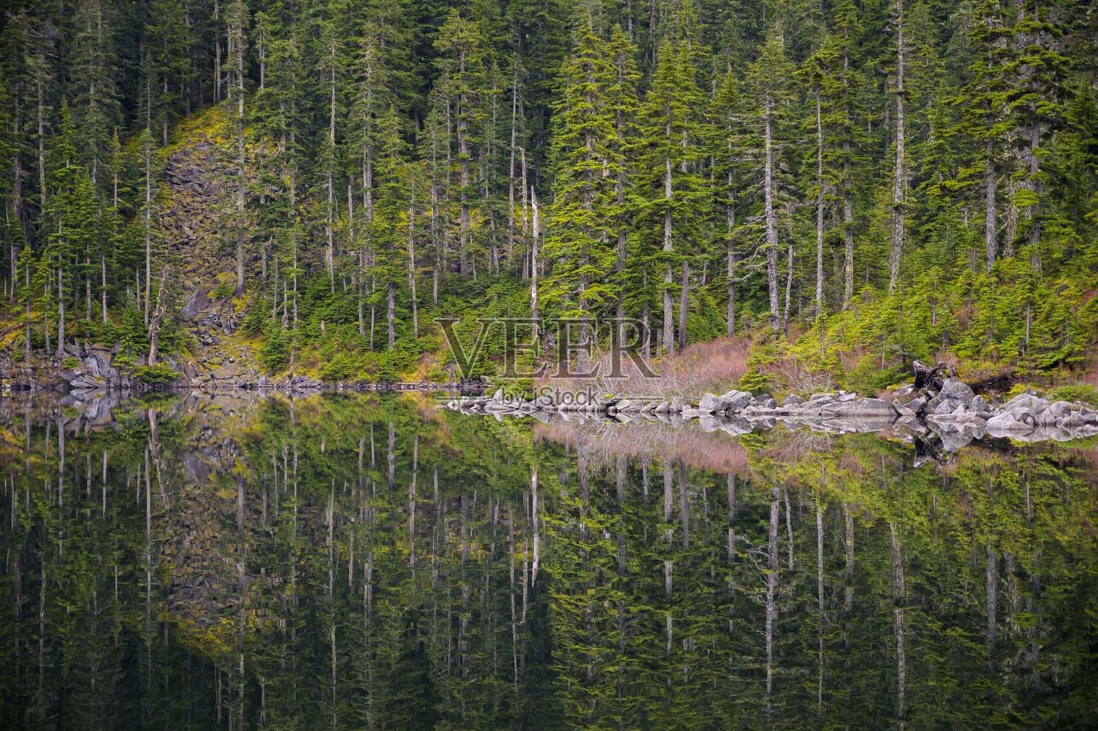 树木倒映在山上的湖中照片摄影图片