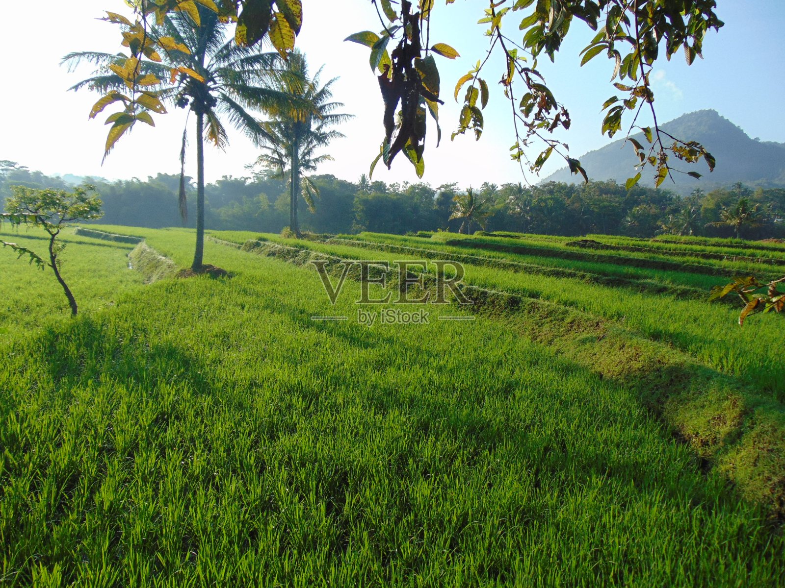 美丽的天空照片摄影图片