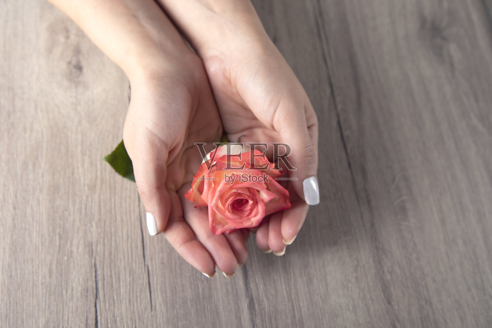 女人把花放在桌上照片摄影图片