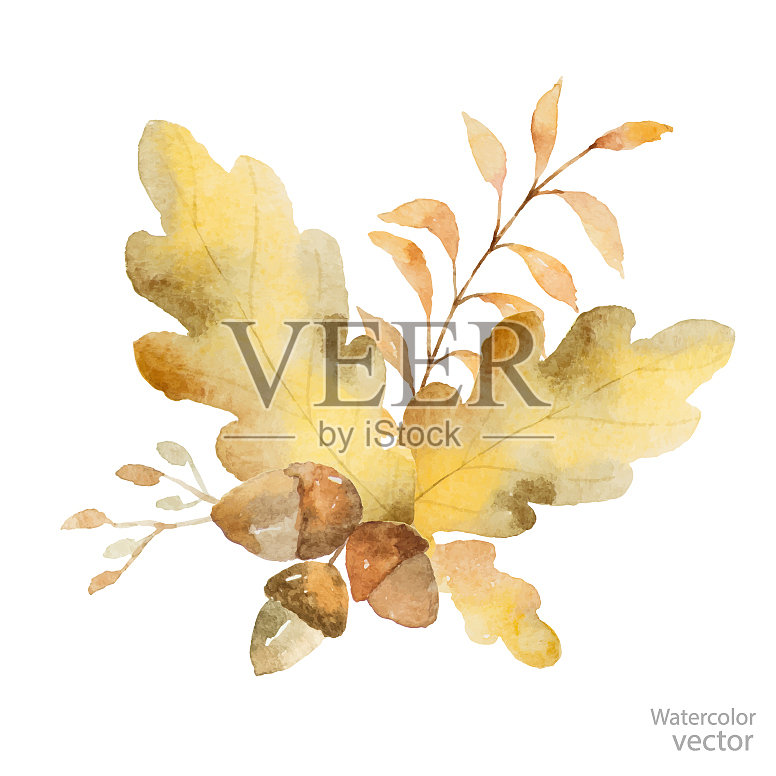 水彩画秋天的花束和树枝插画图片素材