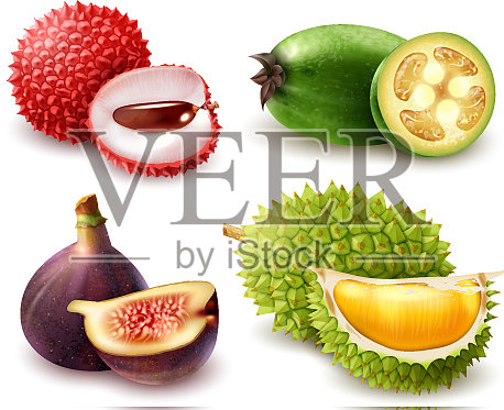 逼真的异域水果套装设计元素图片