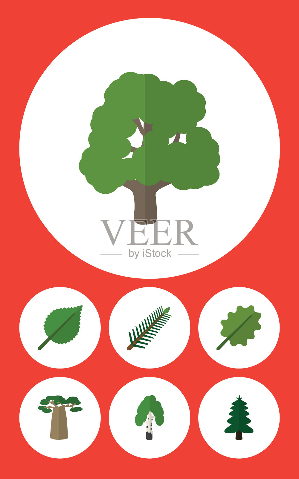 平坦的图标自然设置桤木,椴树猴面包树和图标素材