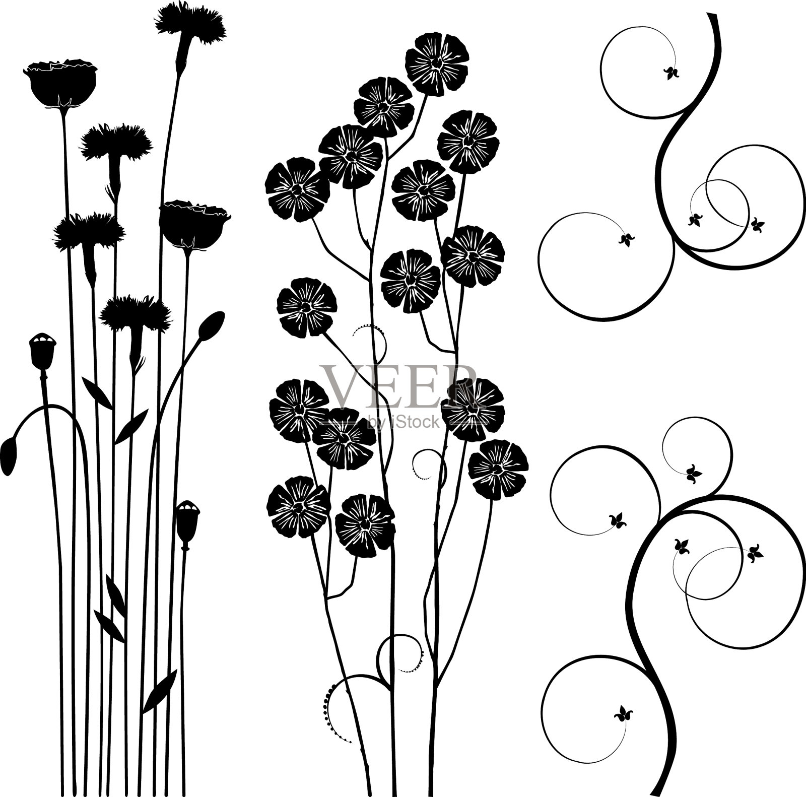 为设计师收集草甸植物集设计元素图片